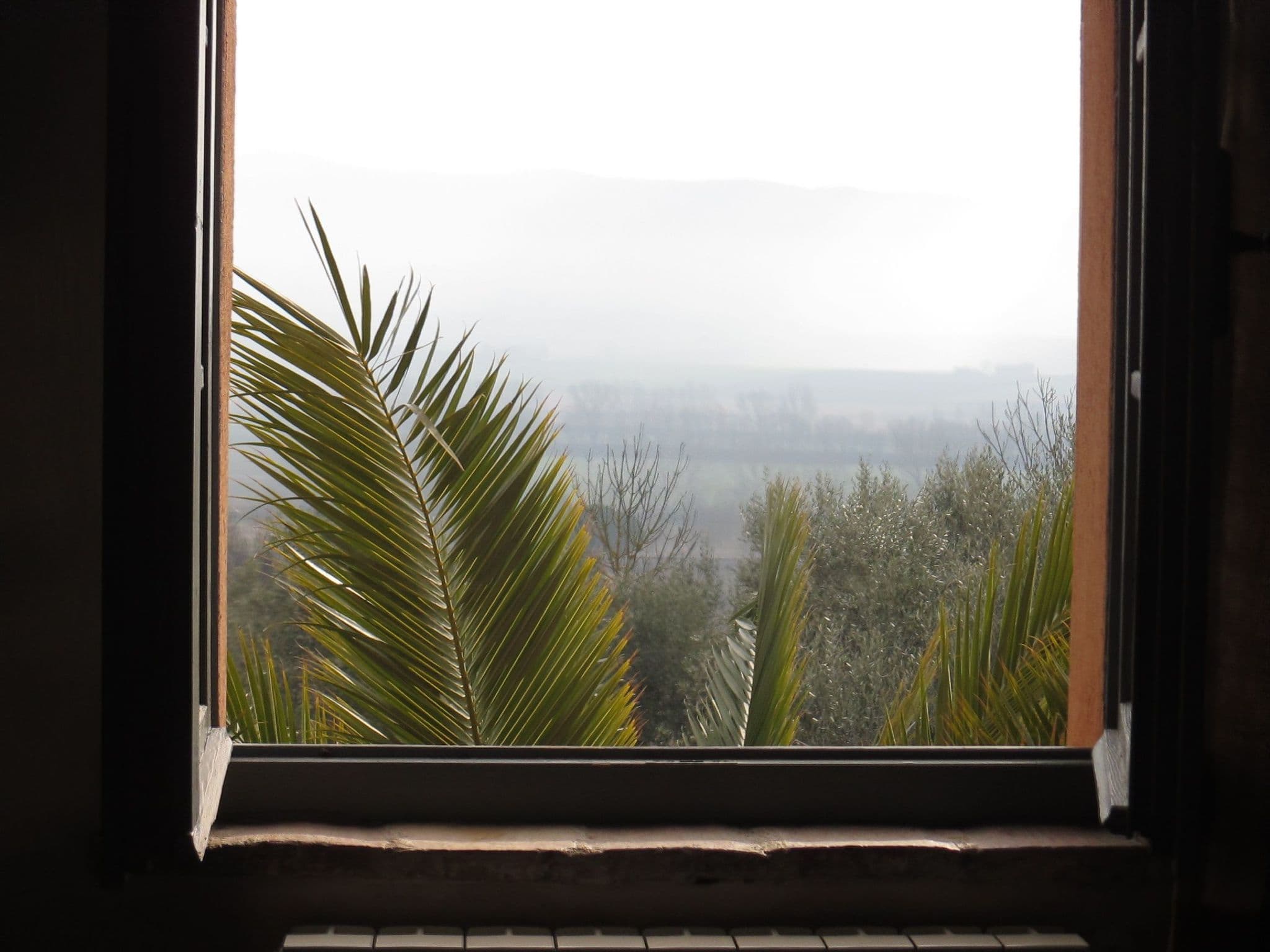 Gallery Image 18