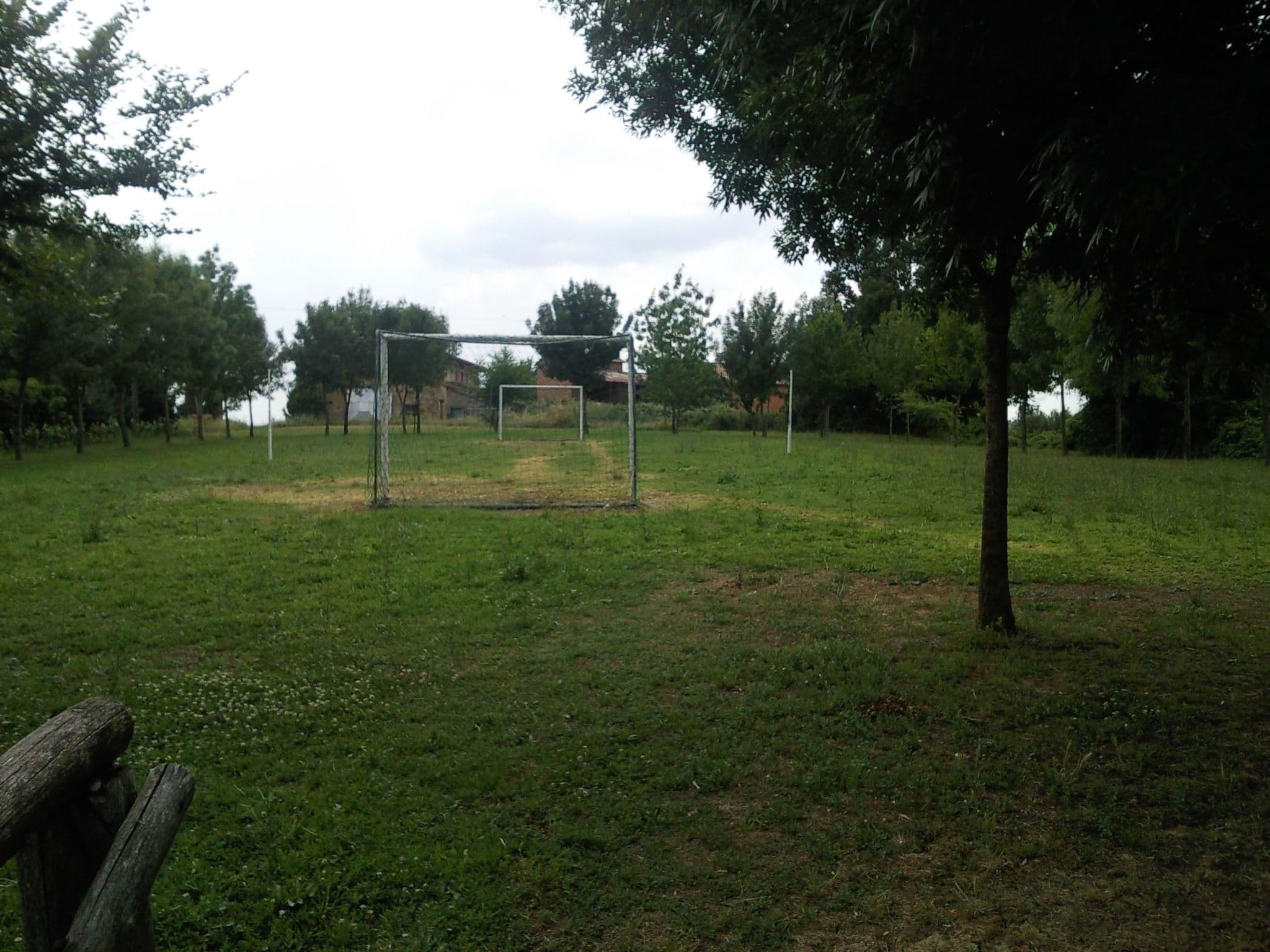 Gallery Image 42