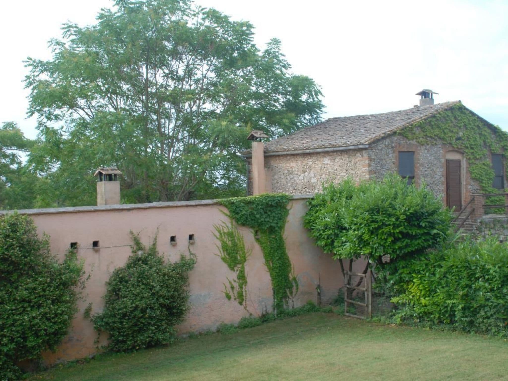 Gallery Image 11