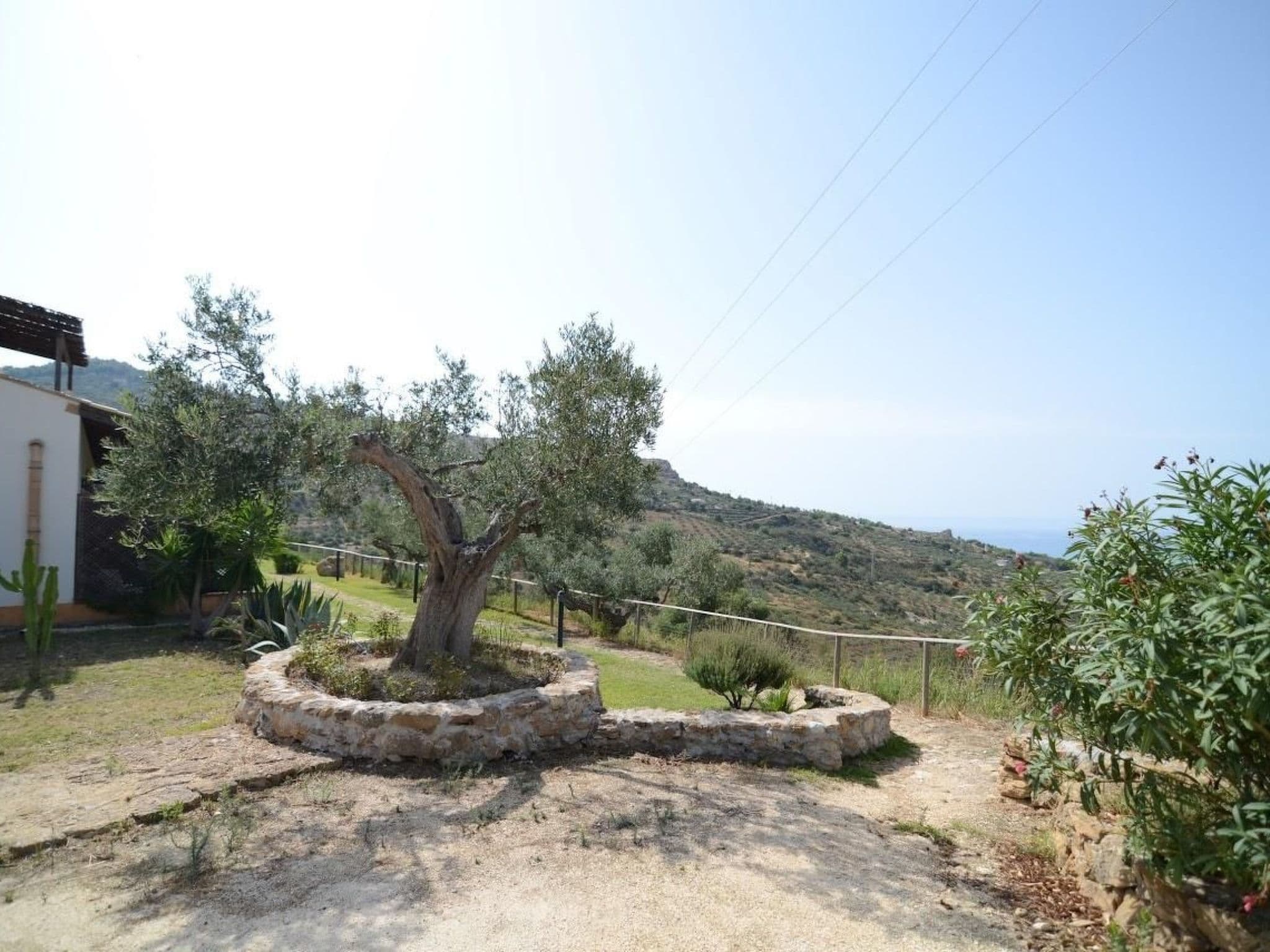 Gallery Image 21