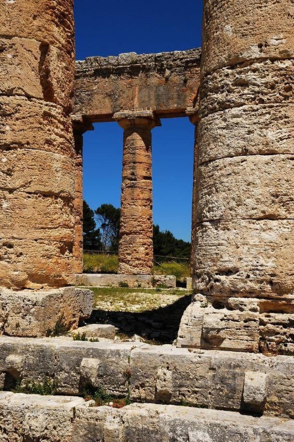 Gallery Image 19