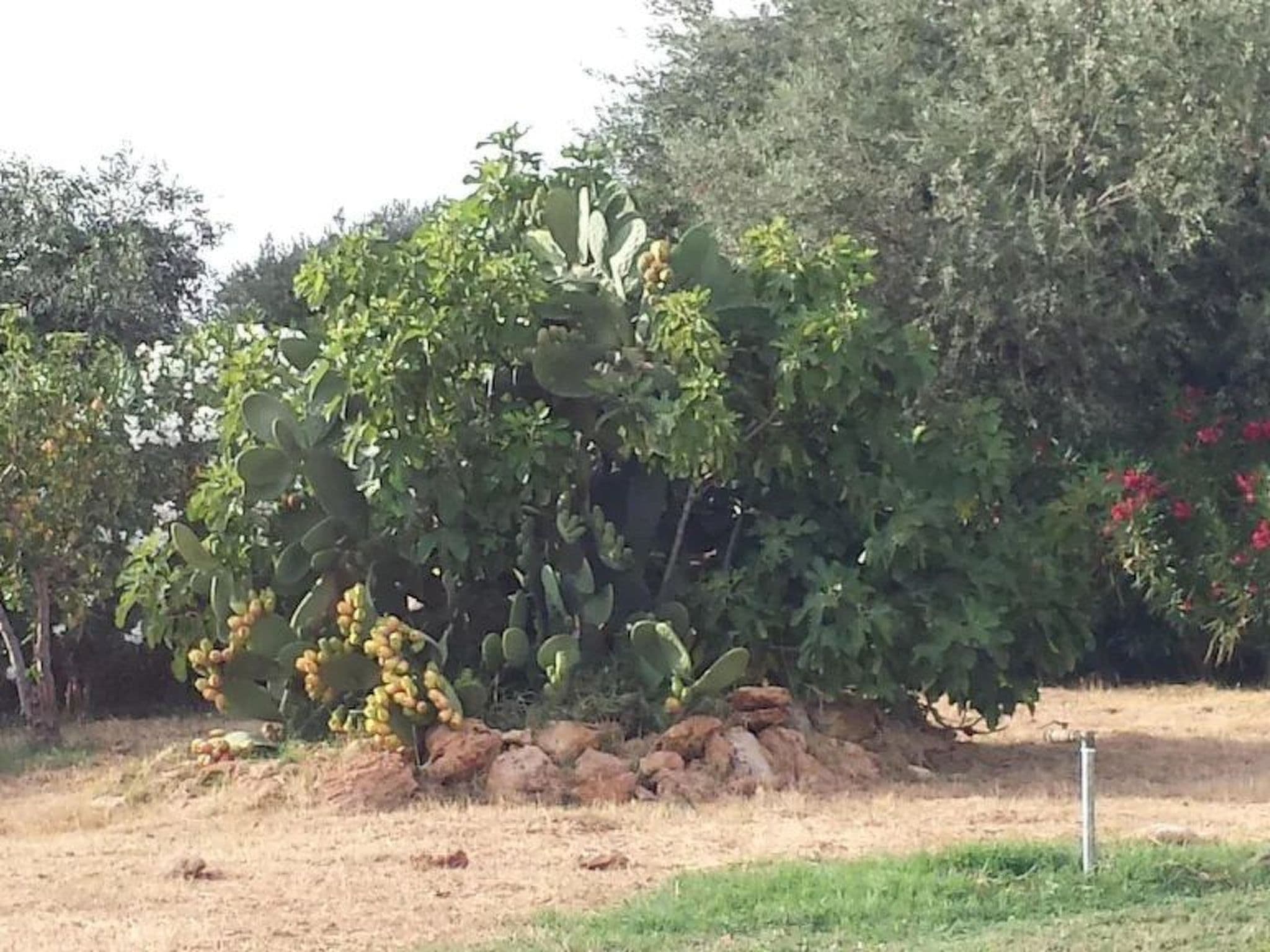 Gallery Image 17