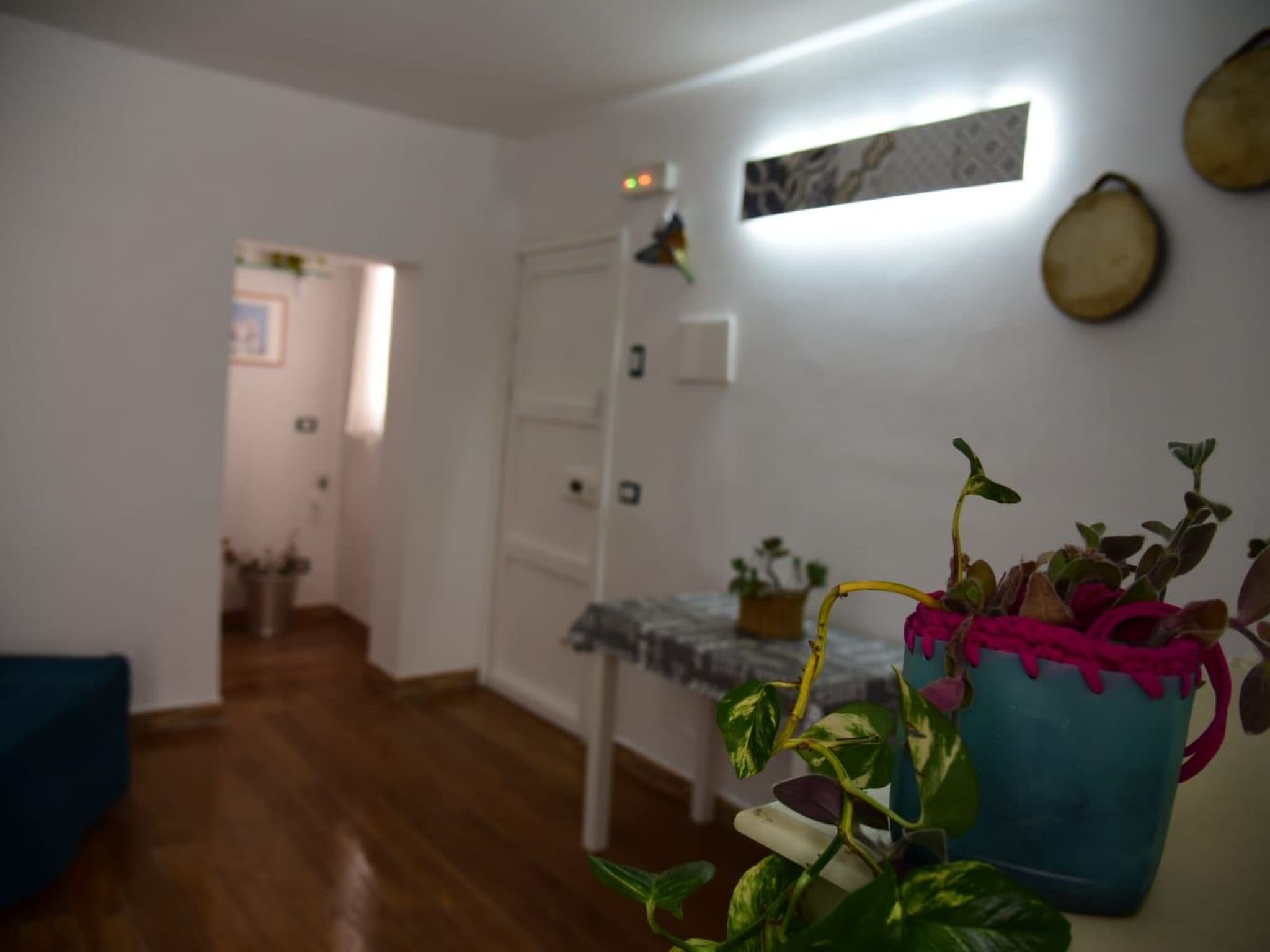 Gallery Image 12