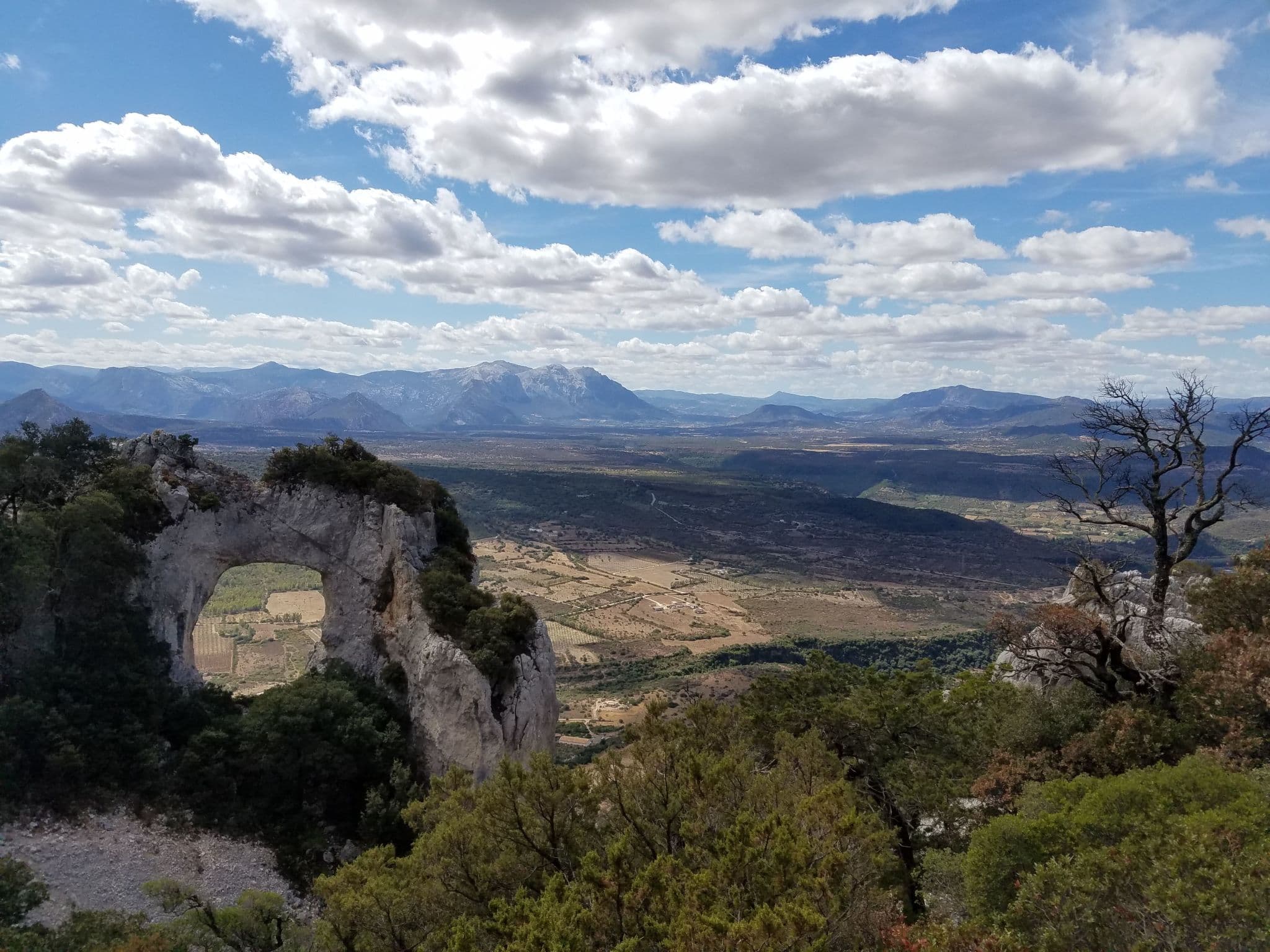 View