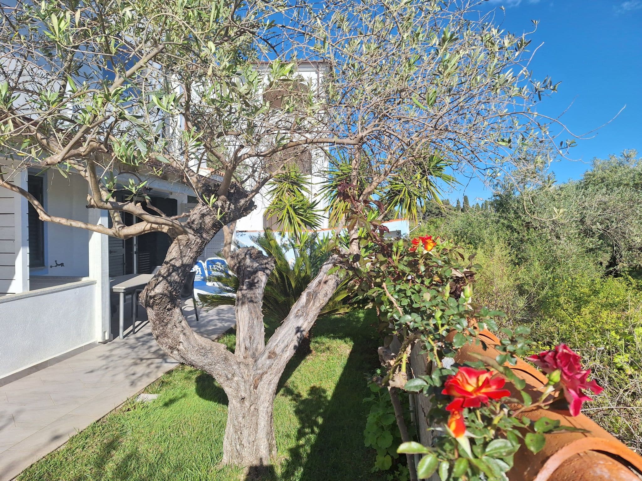 Gallery Image 26