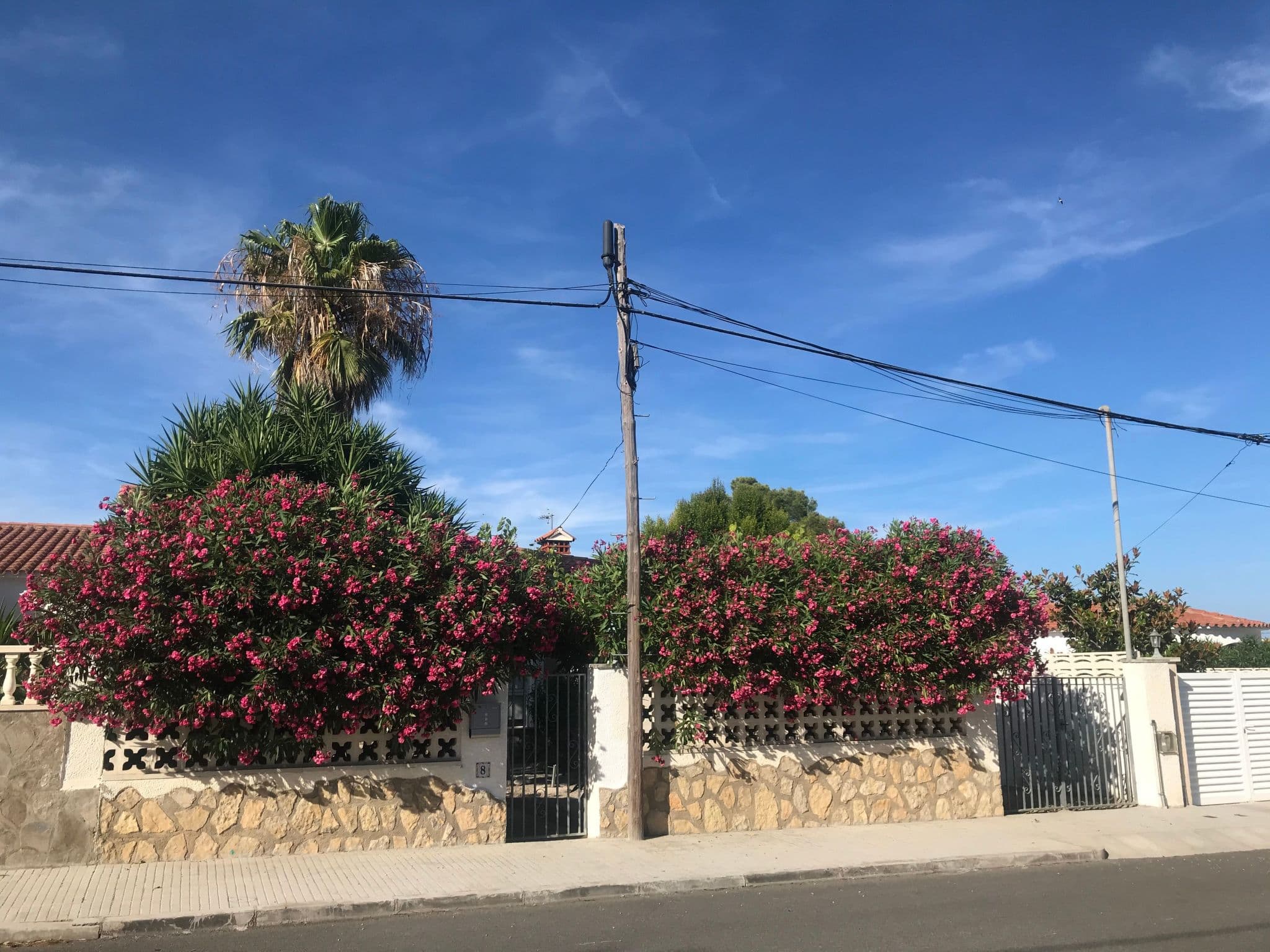 Gallery Image 36