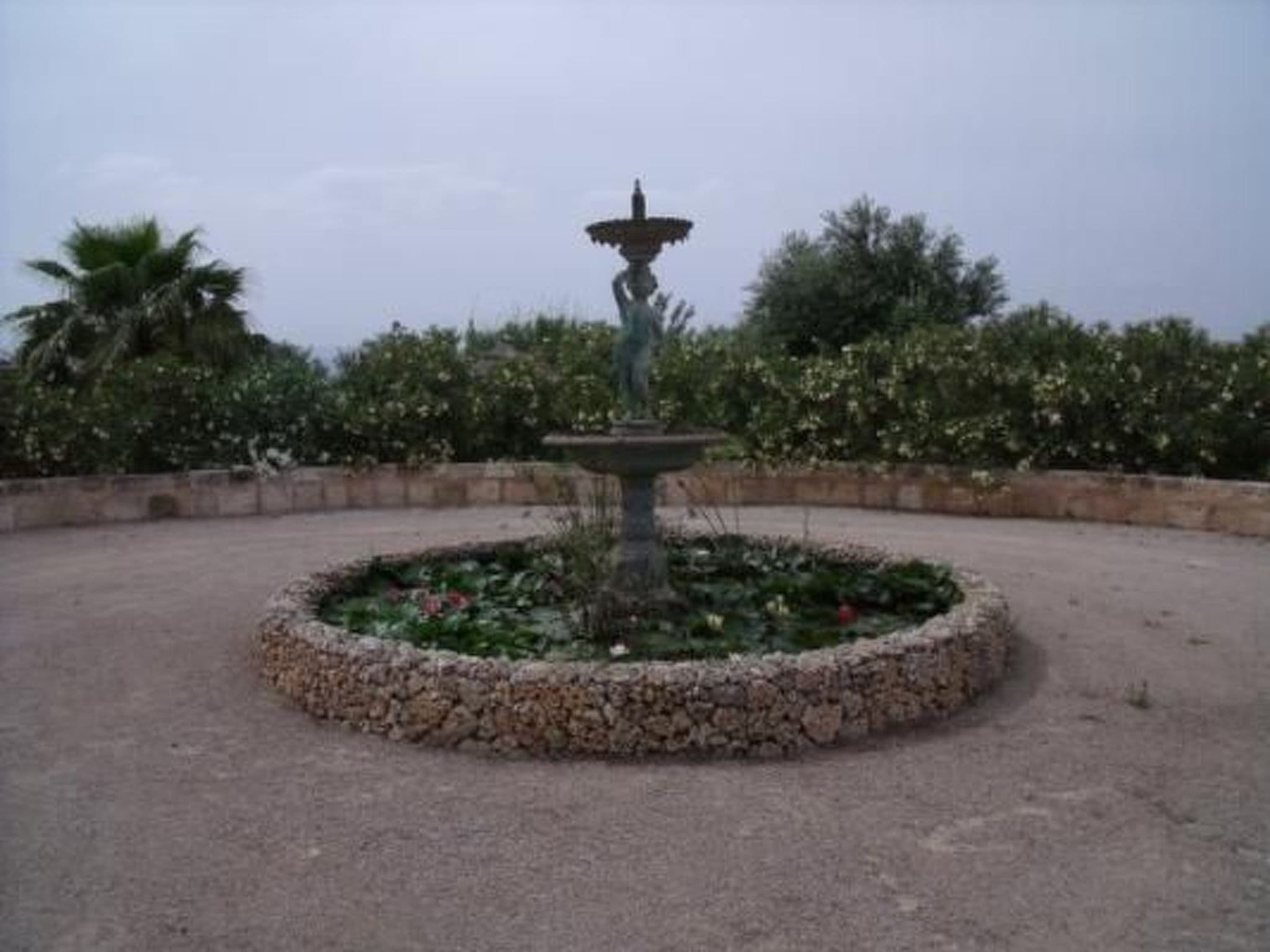 Gallery Image 17