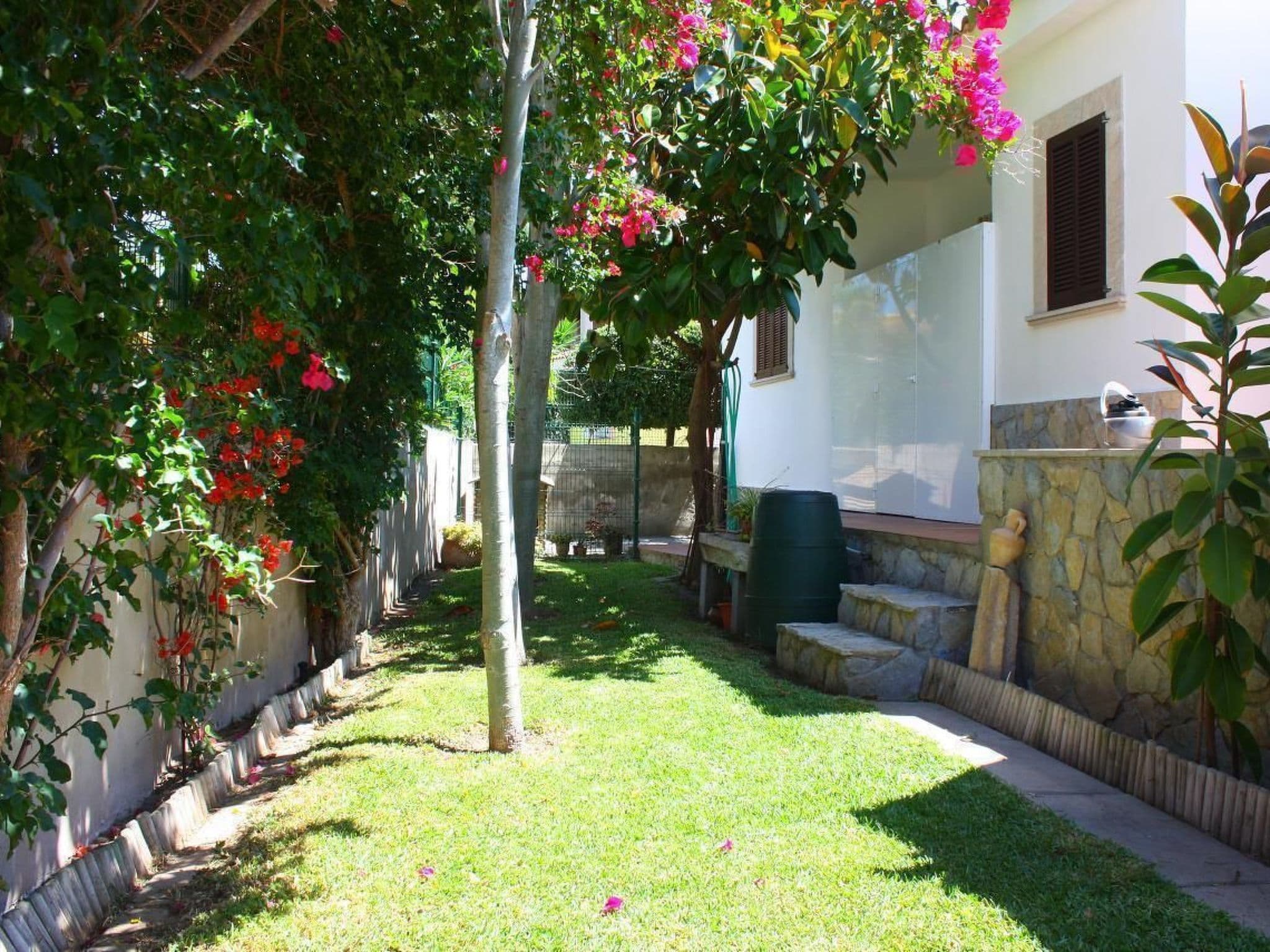 Gallery Image 27
