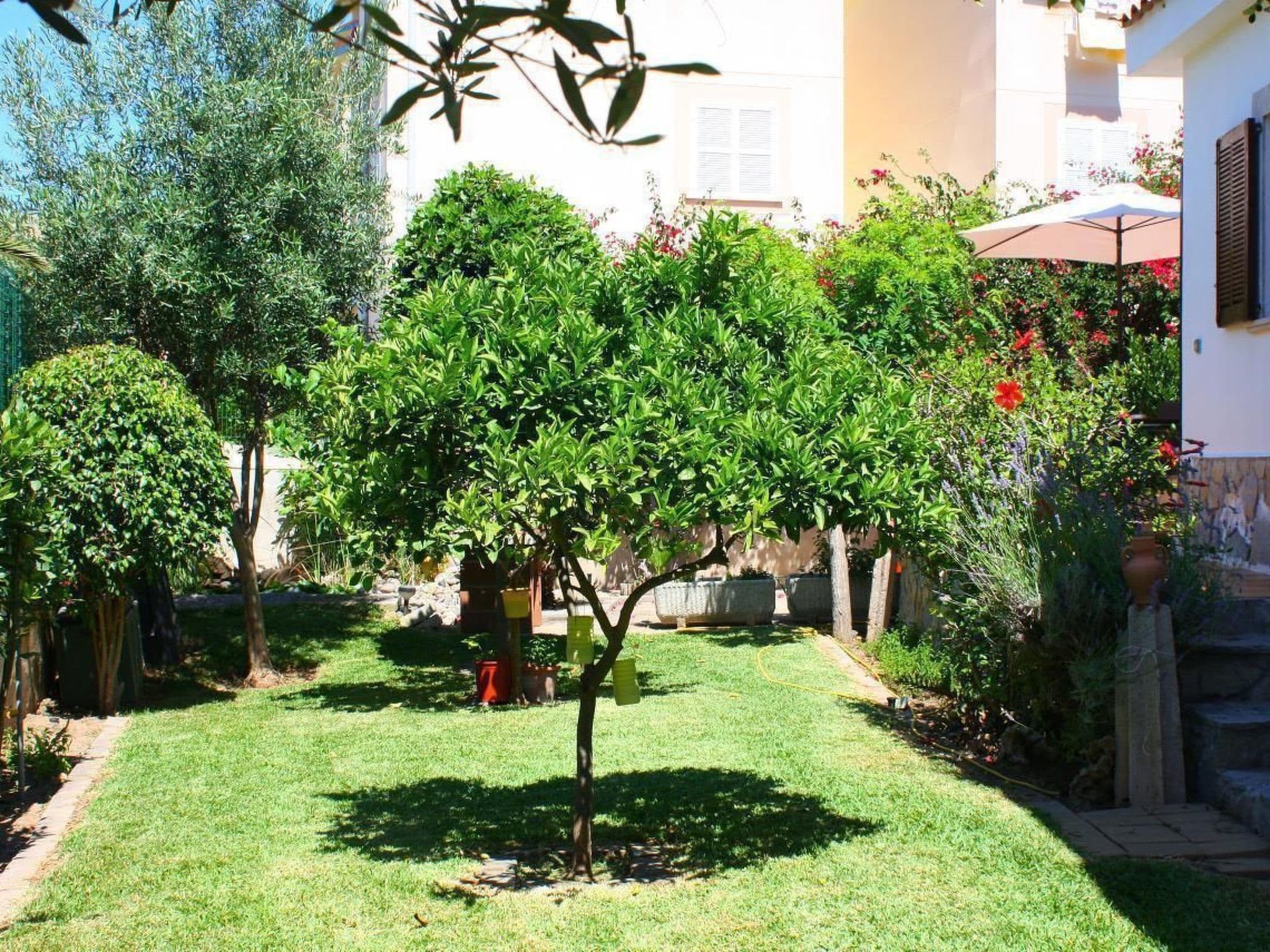 Gallery Image 28