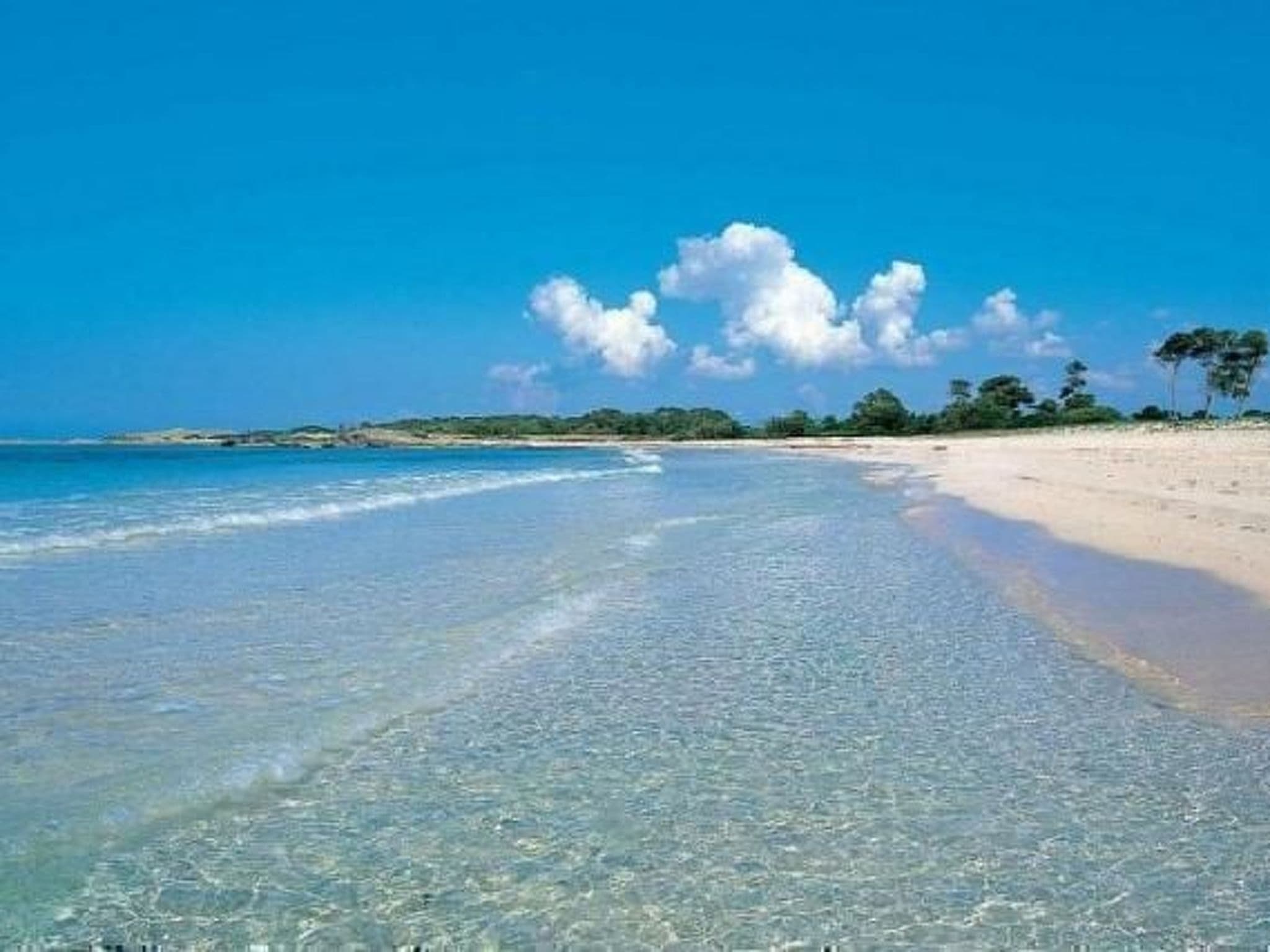 Gallery Image 45
