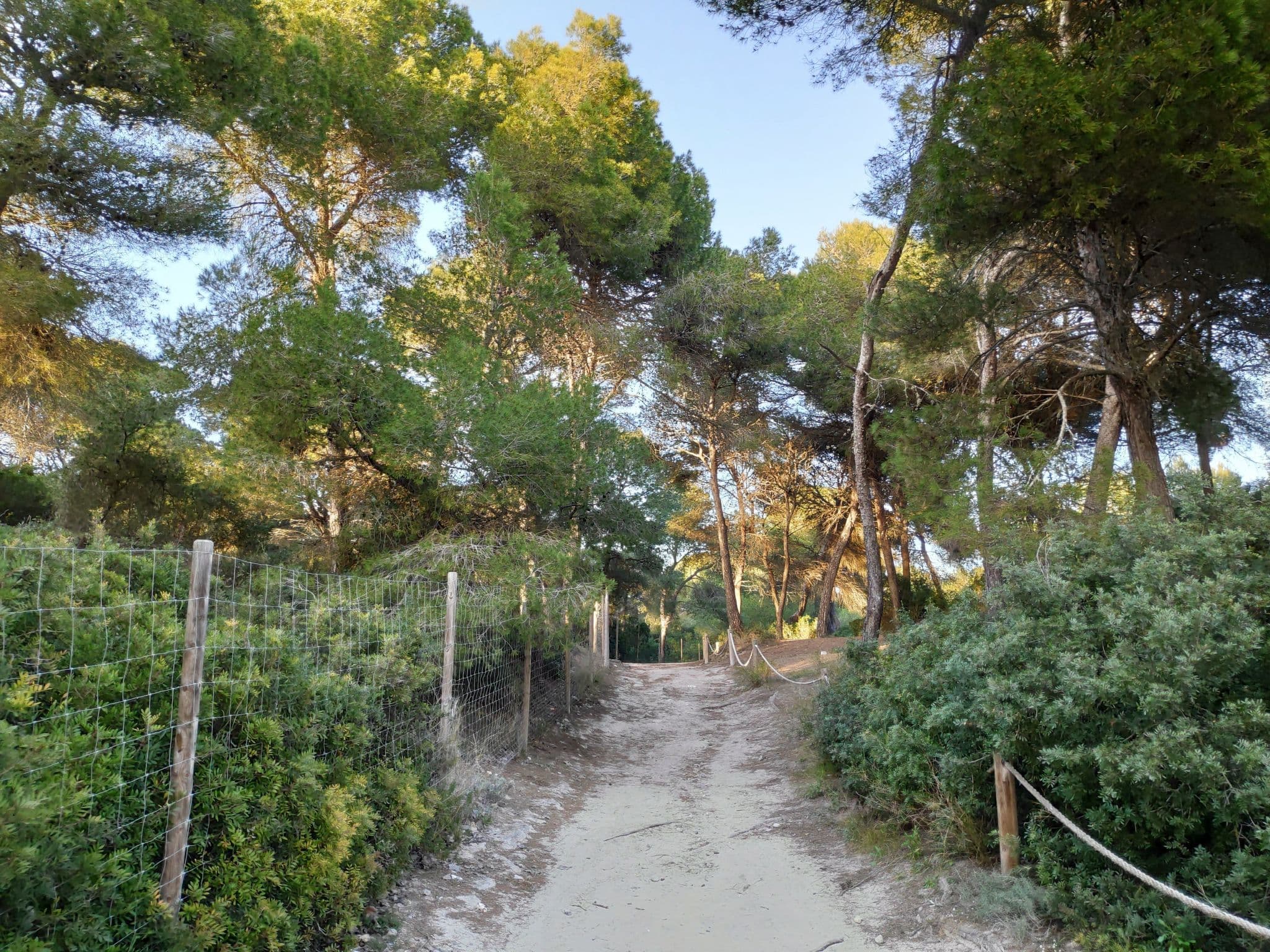 Place