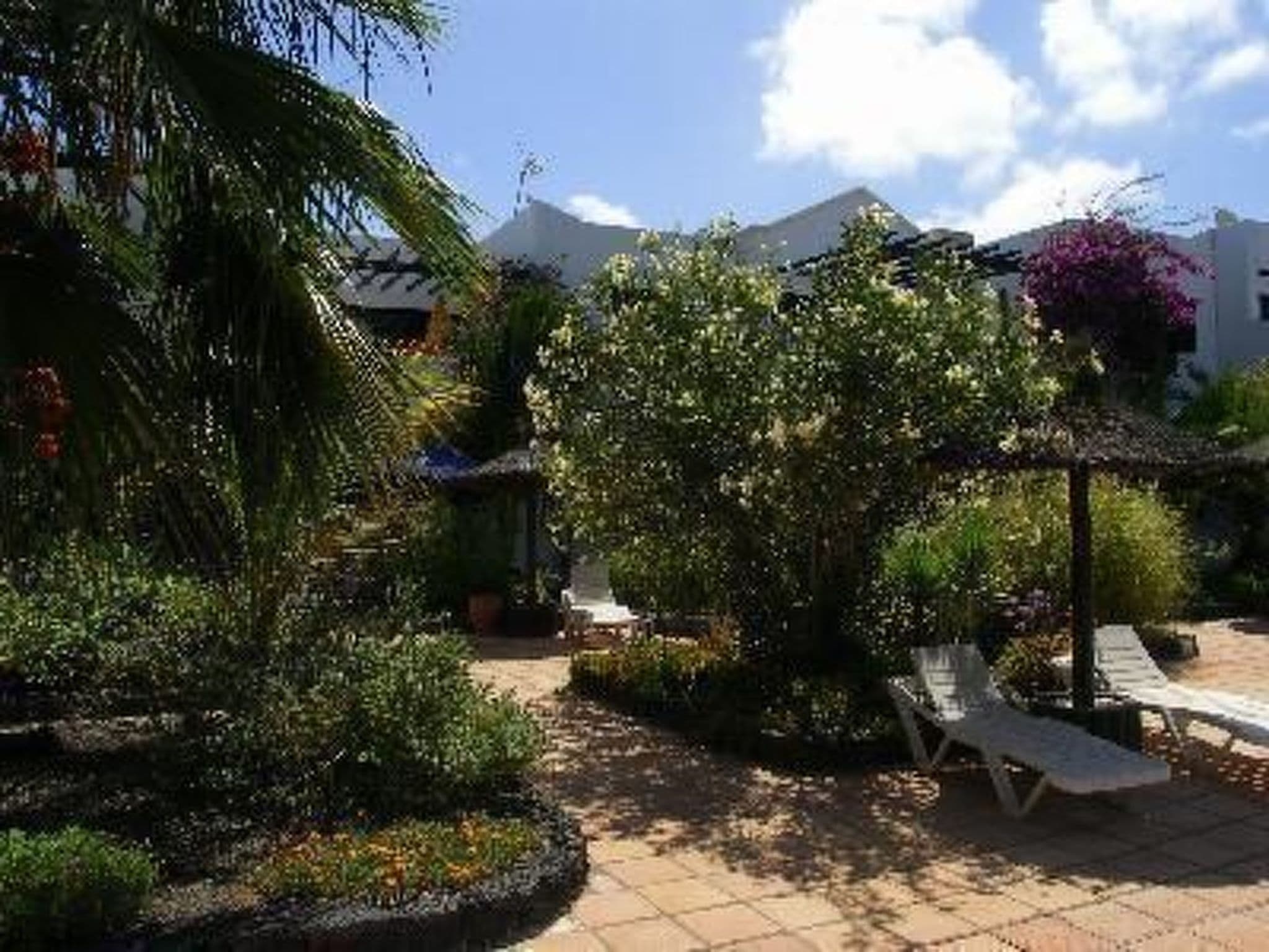 Gallery Image 23