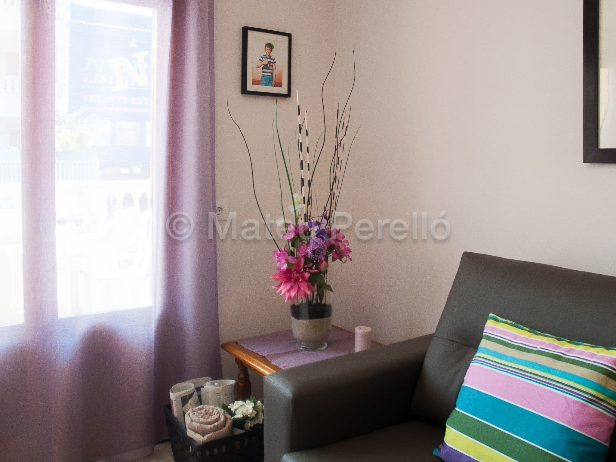 Gallery Image 7