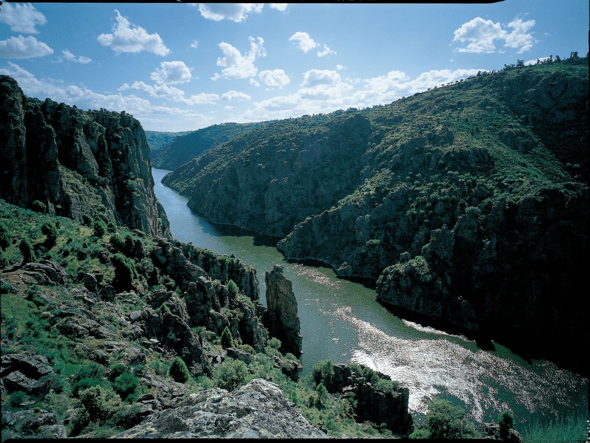 Gallery Image 10