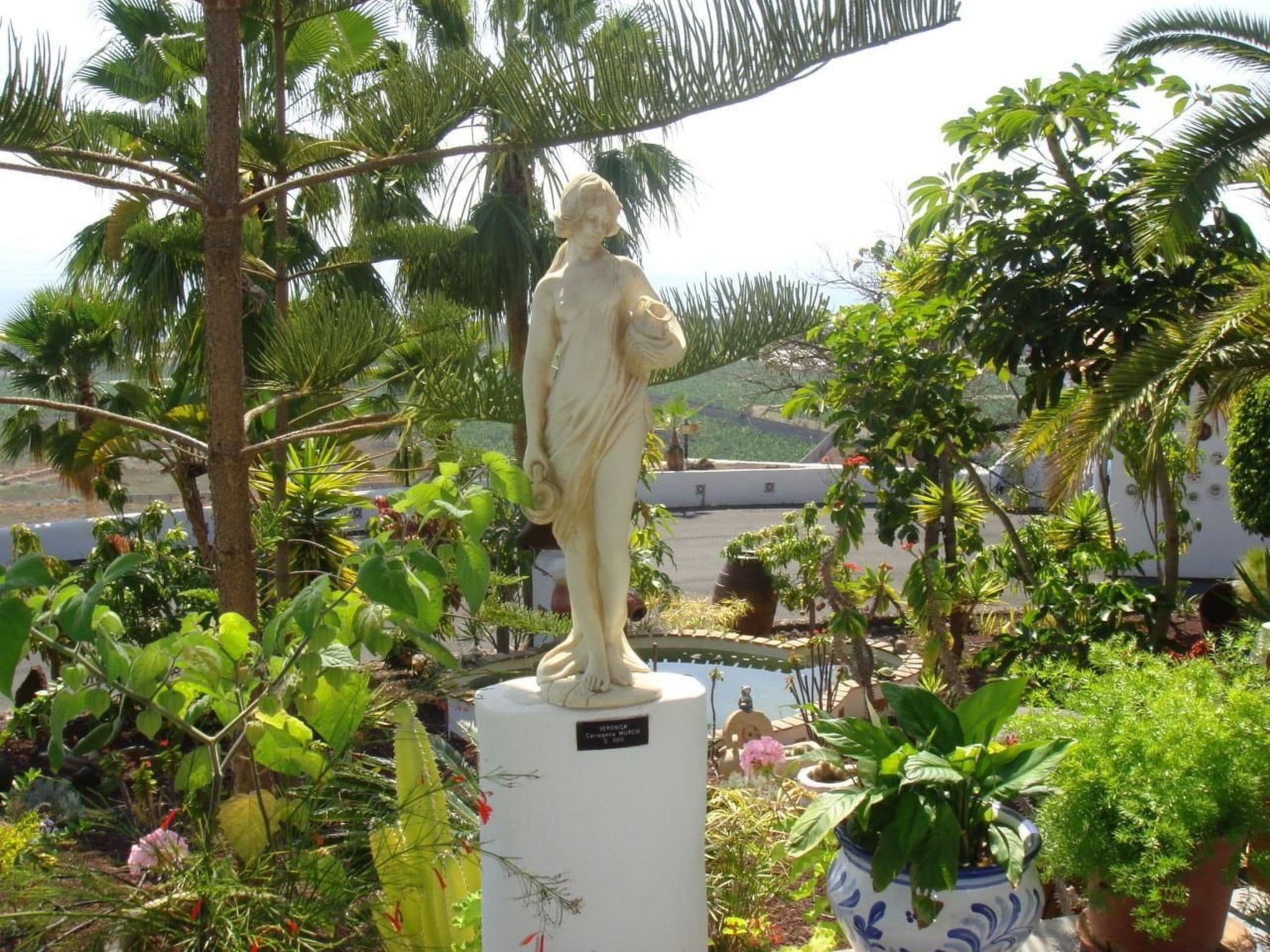 Gallery Image 39