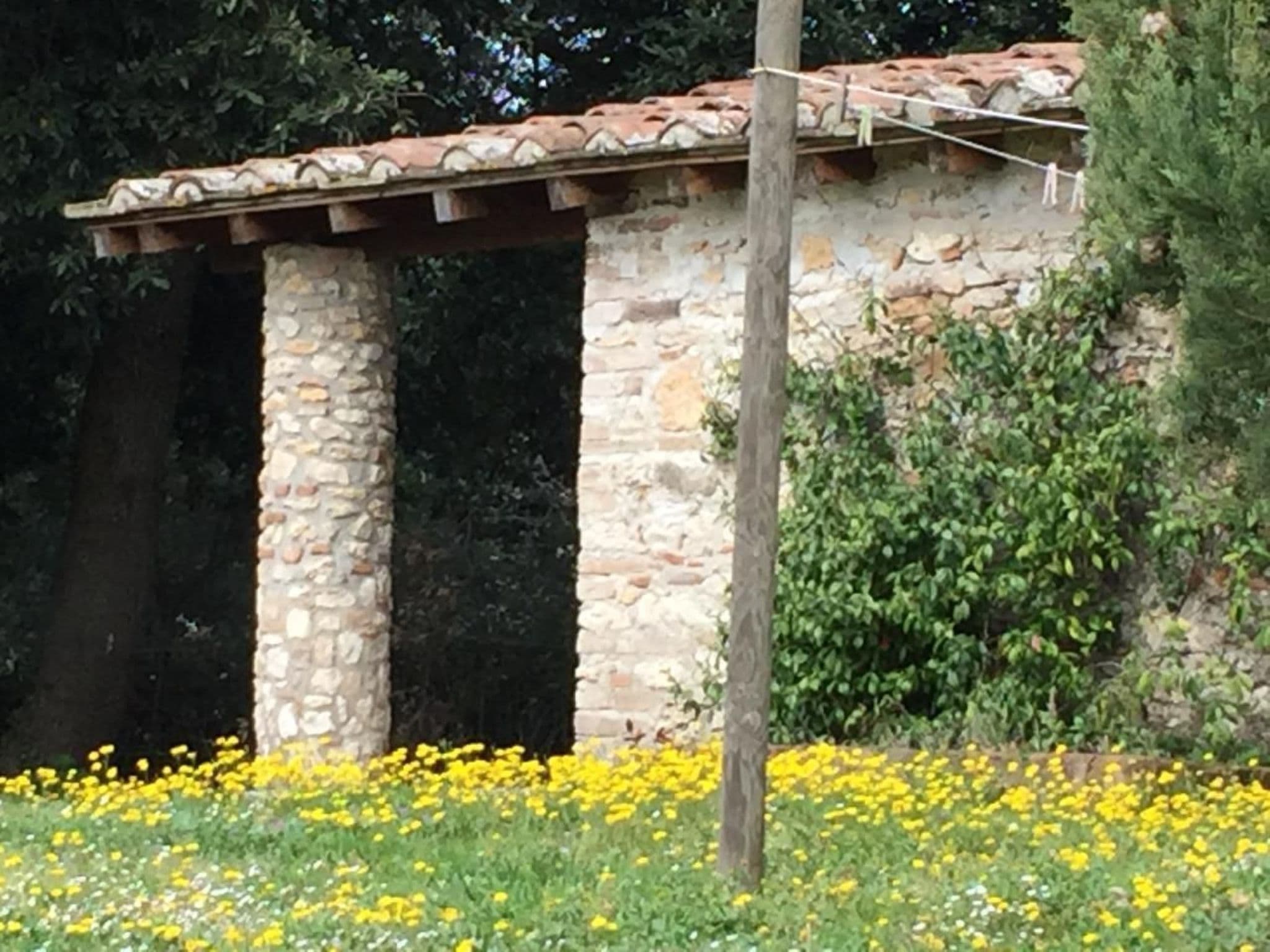 Gallery Image 15