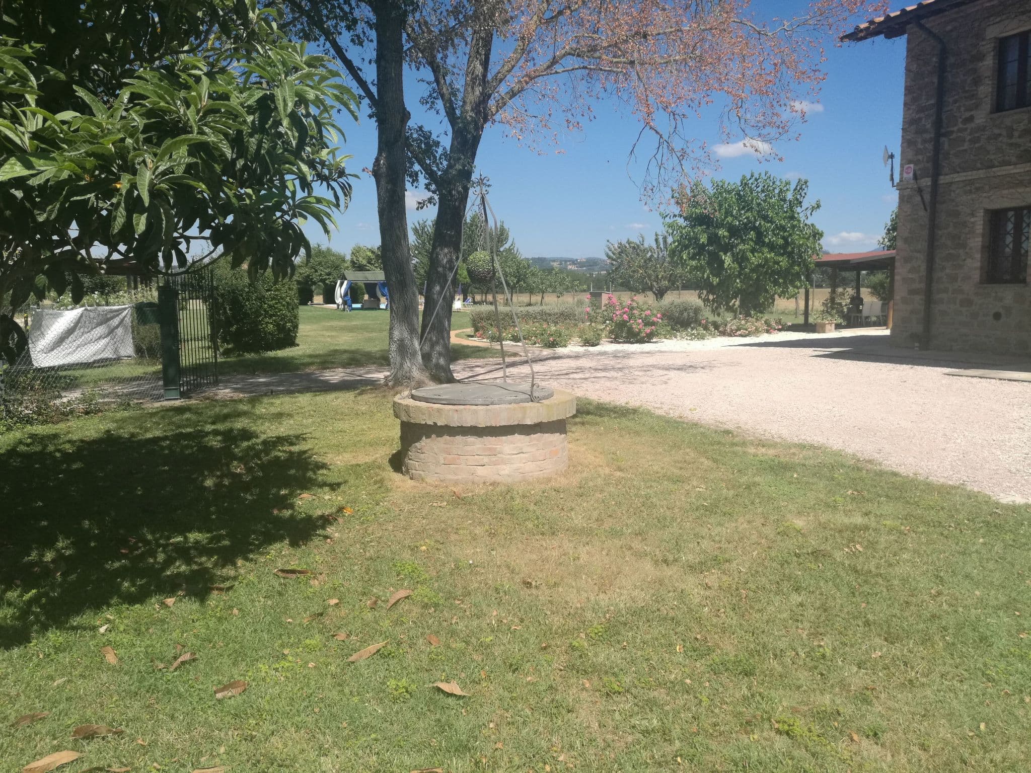 Gallery Image 31