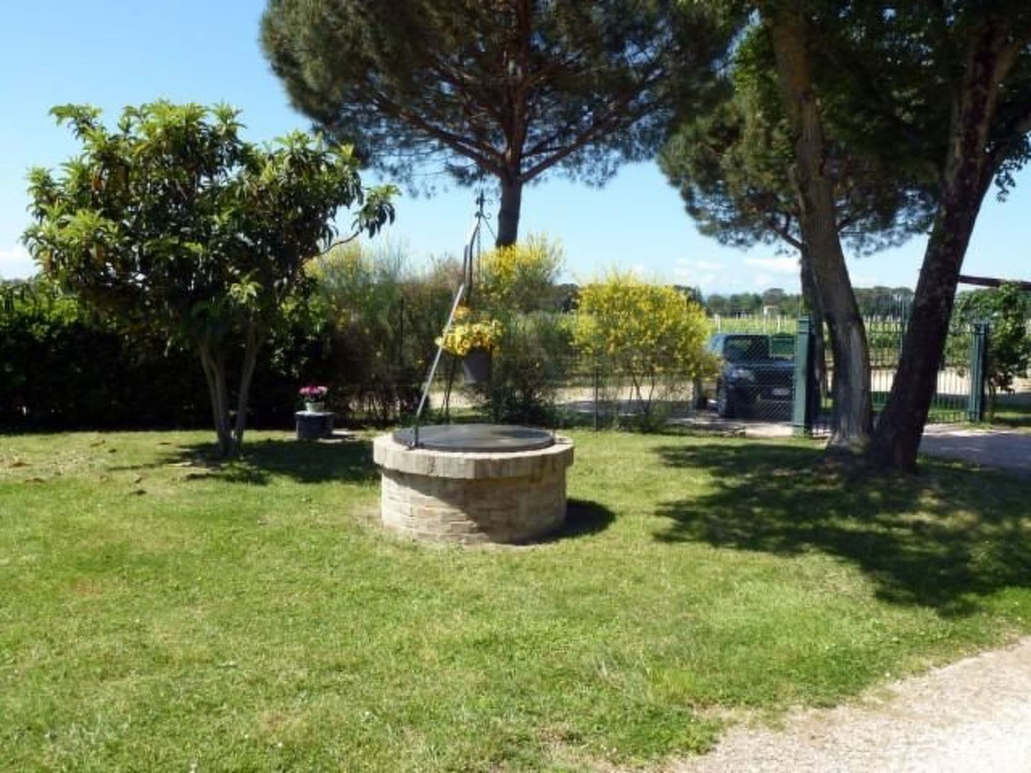 Gallery Image 10