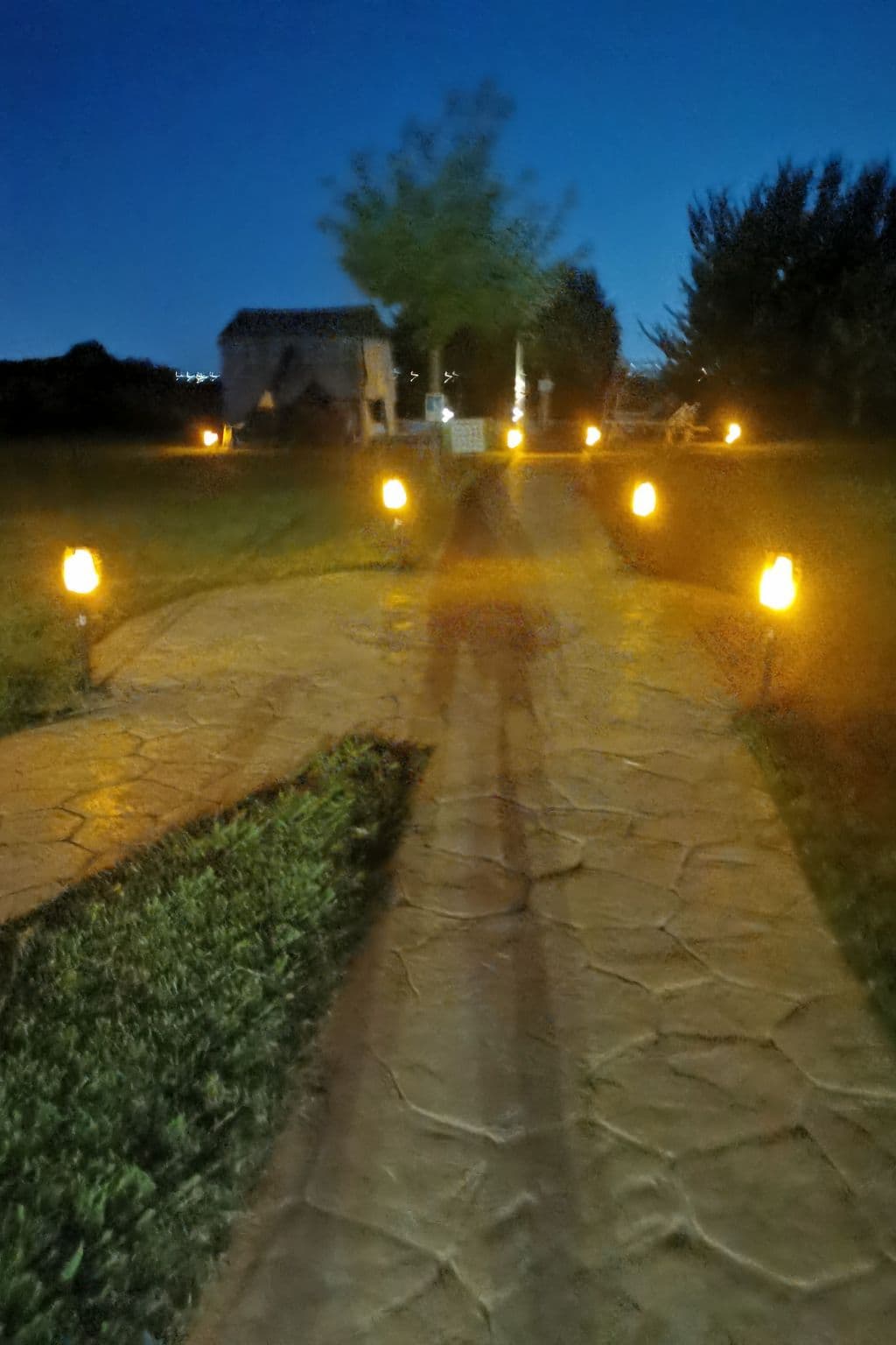 Gallery Image 29