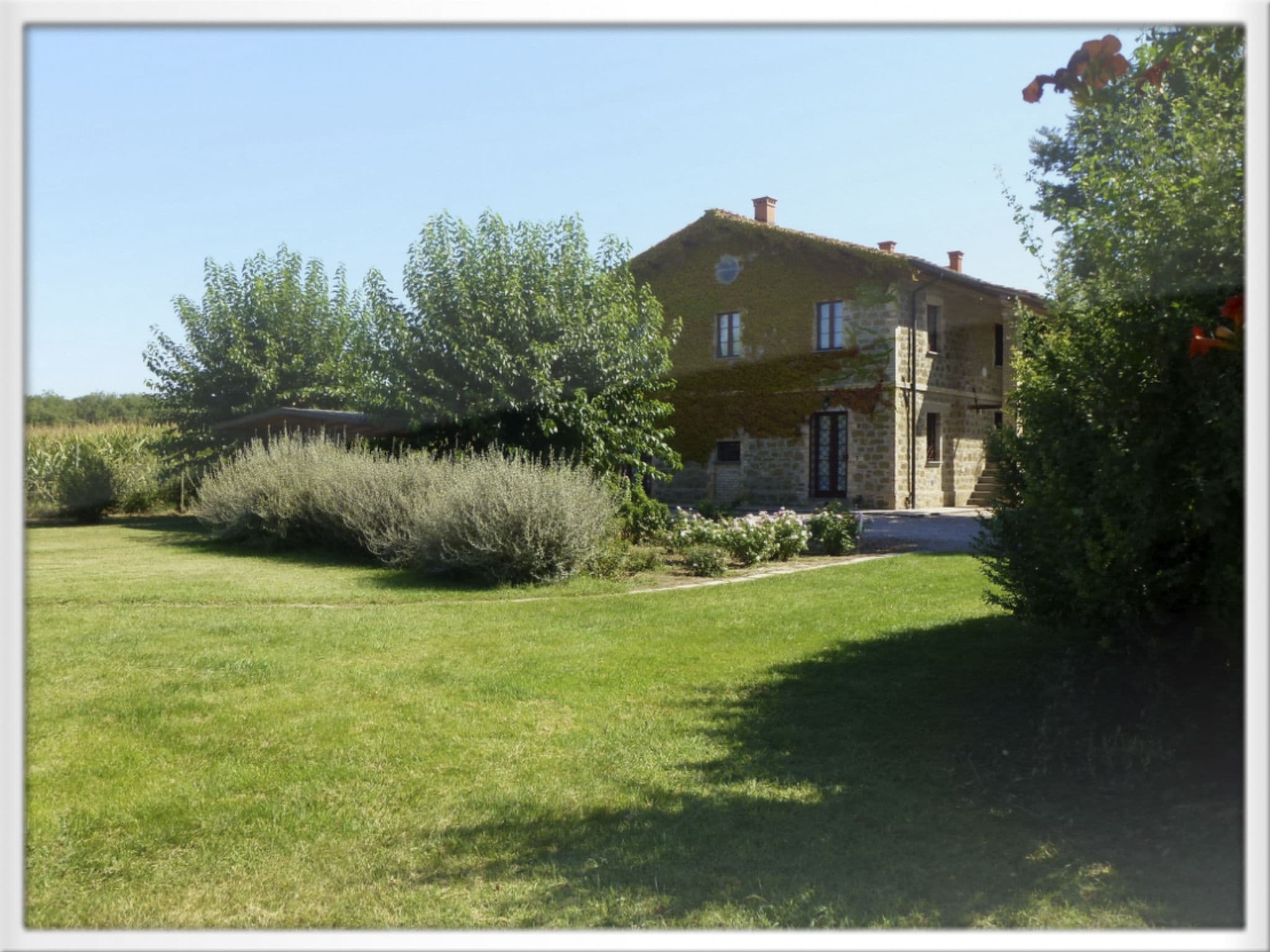 Gallery Image 57