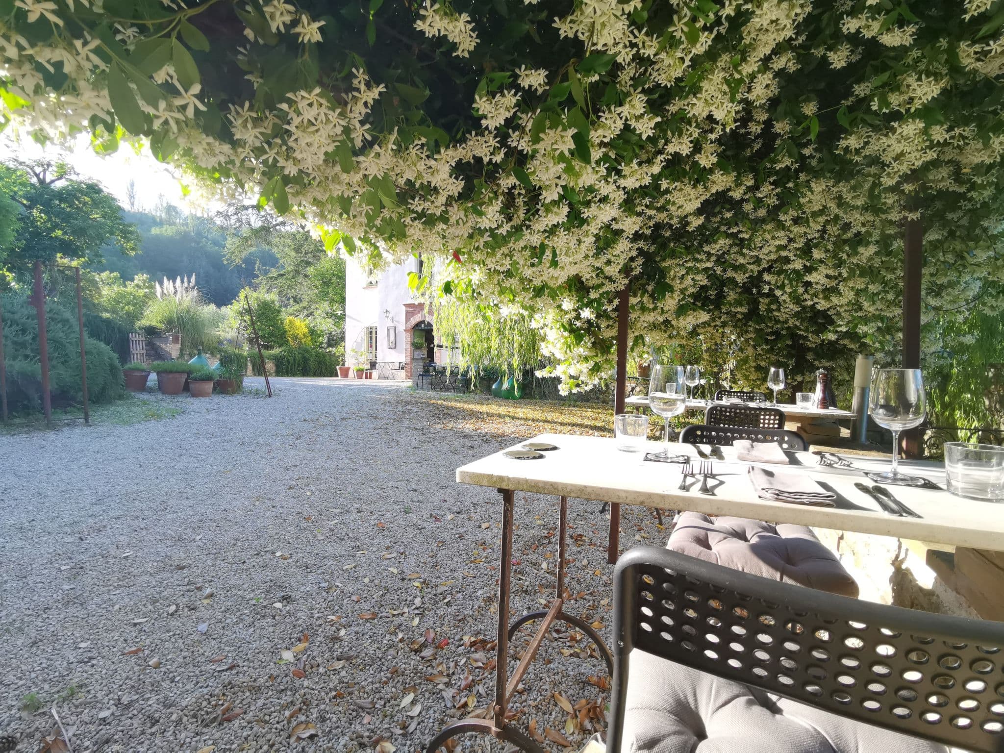 Terrace