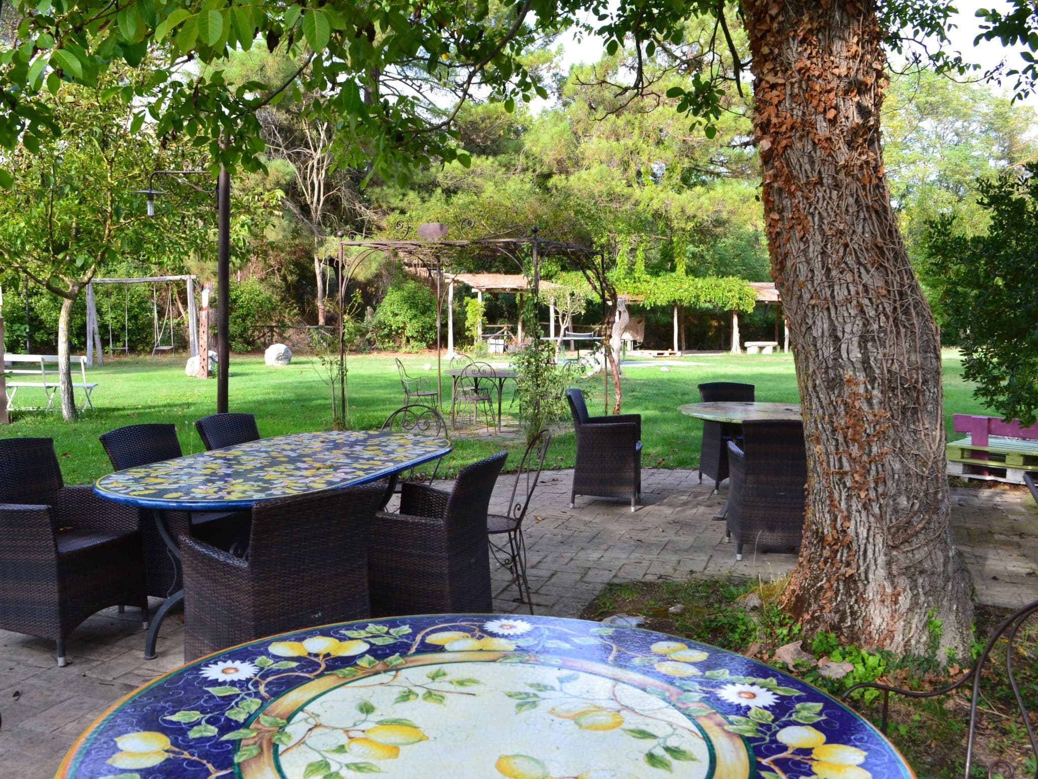 Terrace