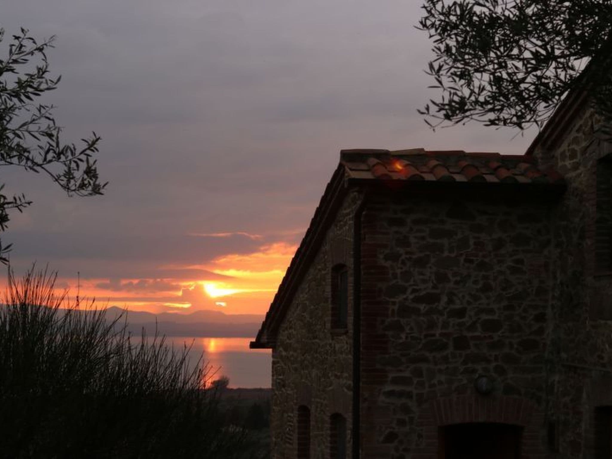 Gallery Image 26