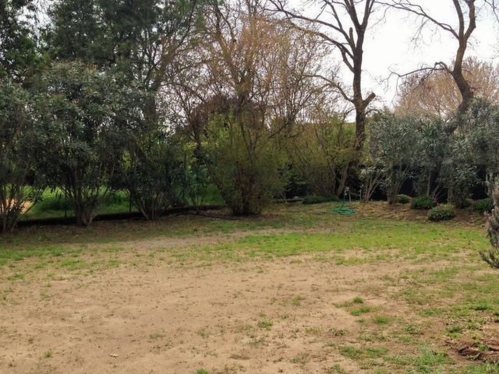 Gallery Image 21