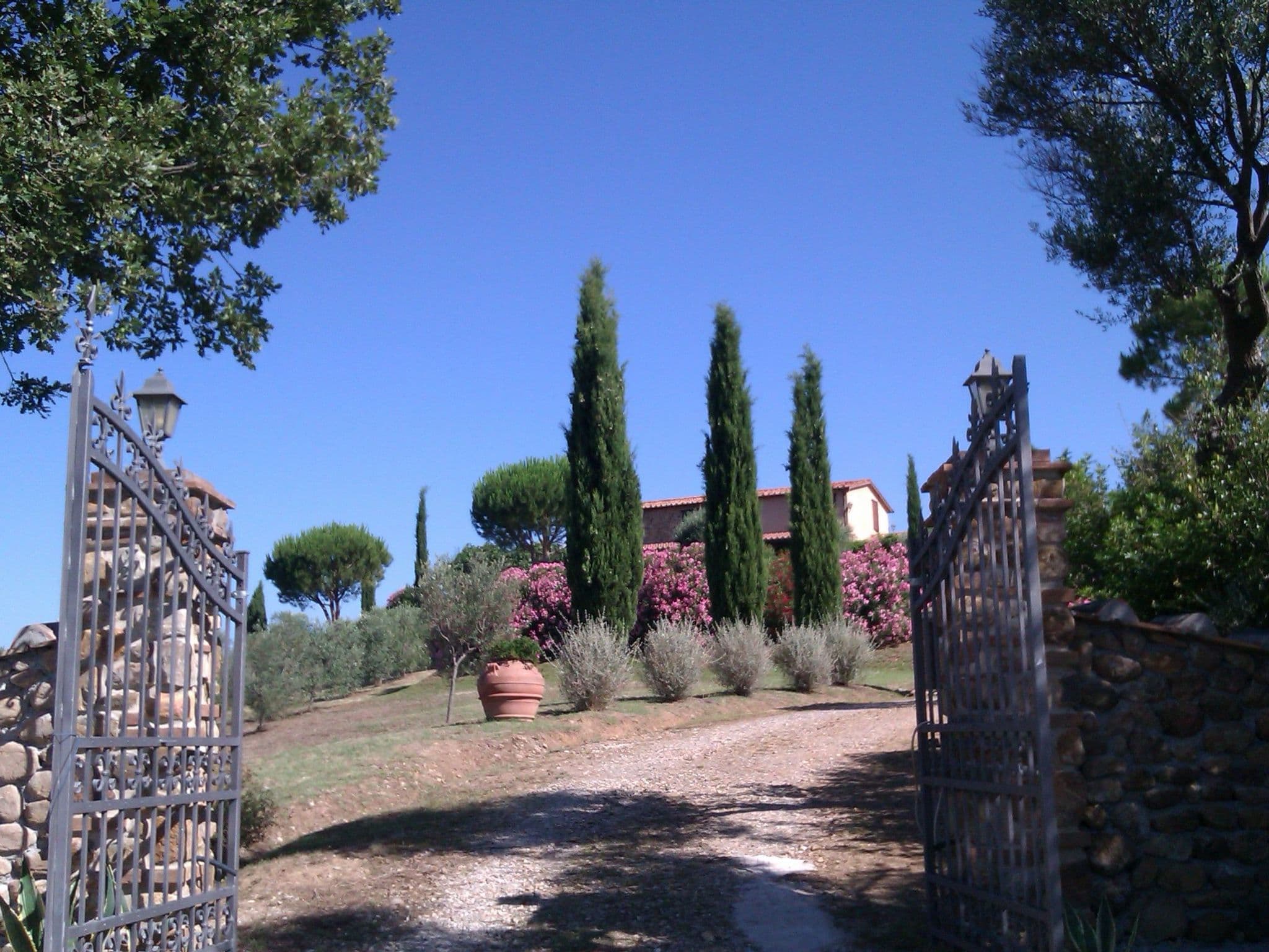 Gallery Image 7