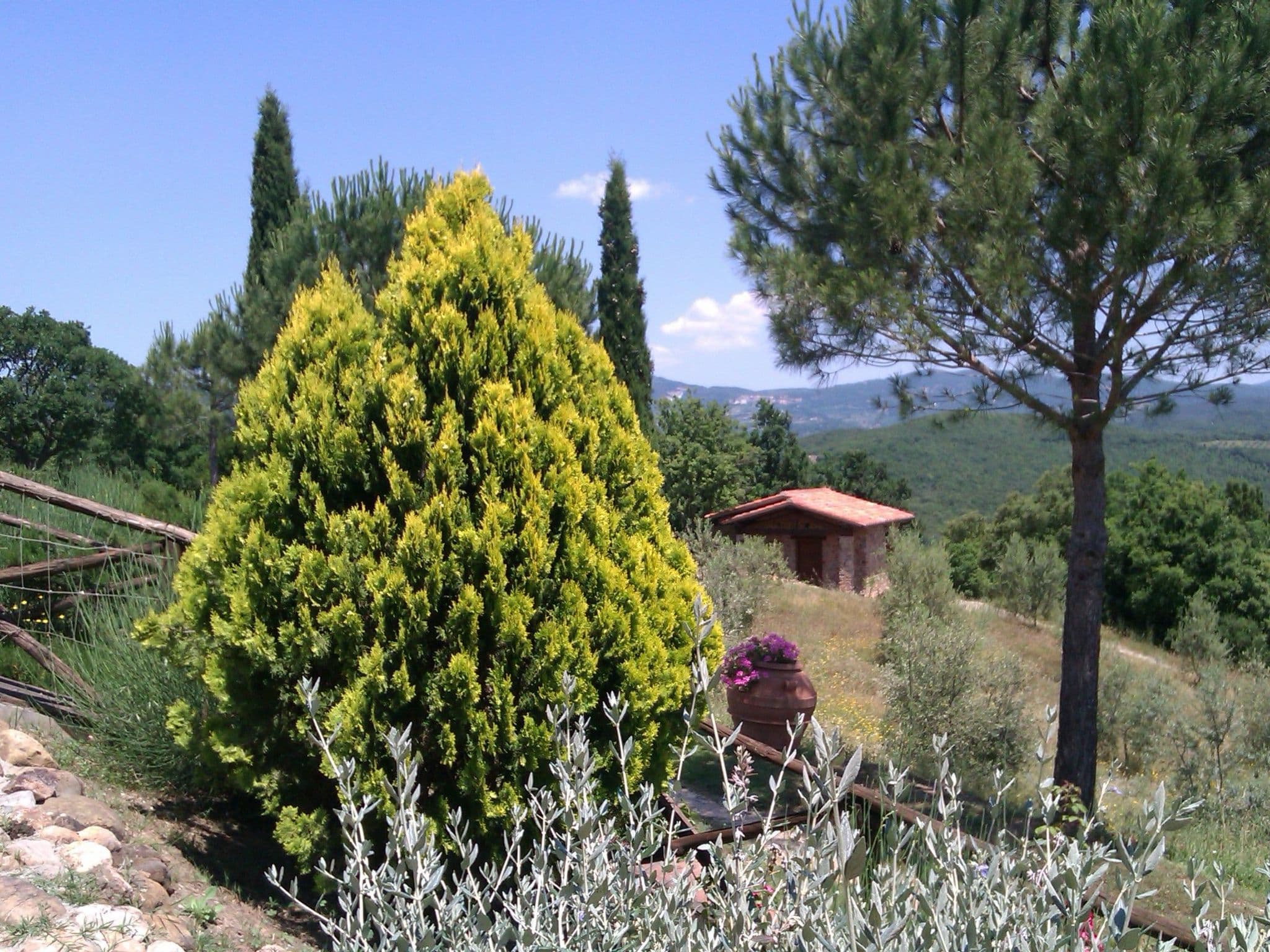 Gallery Image 17