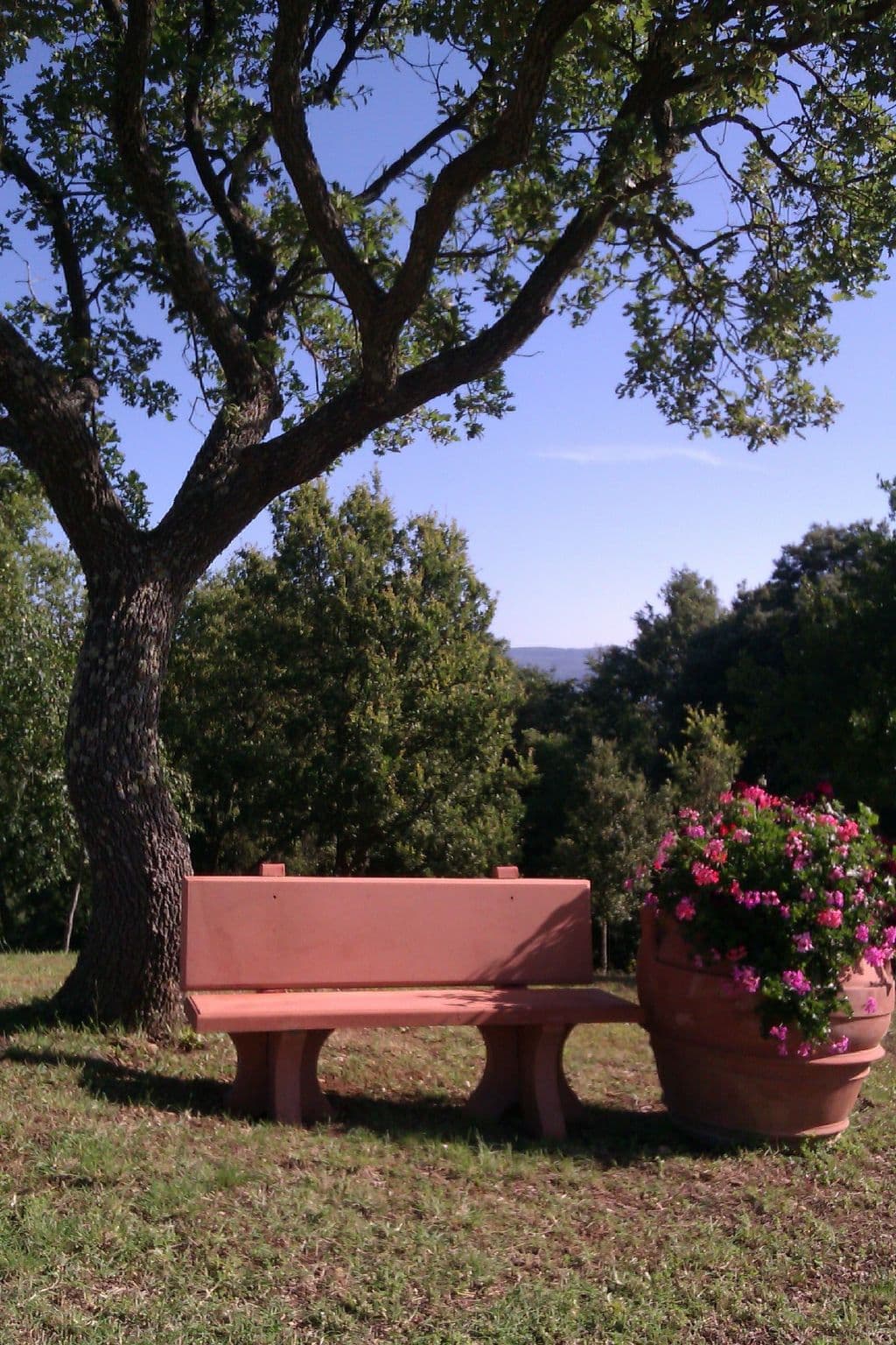 Gallery Image 18