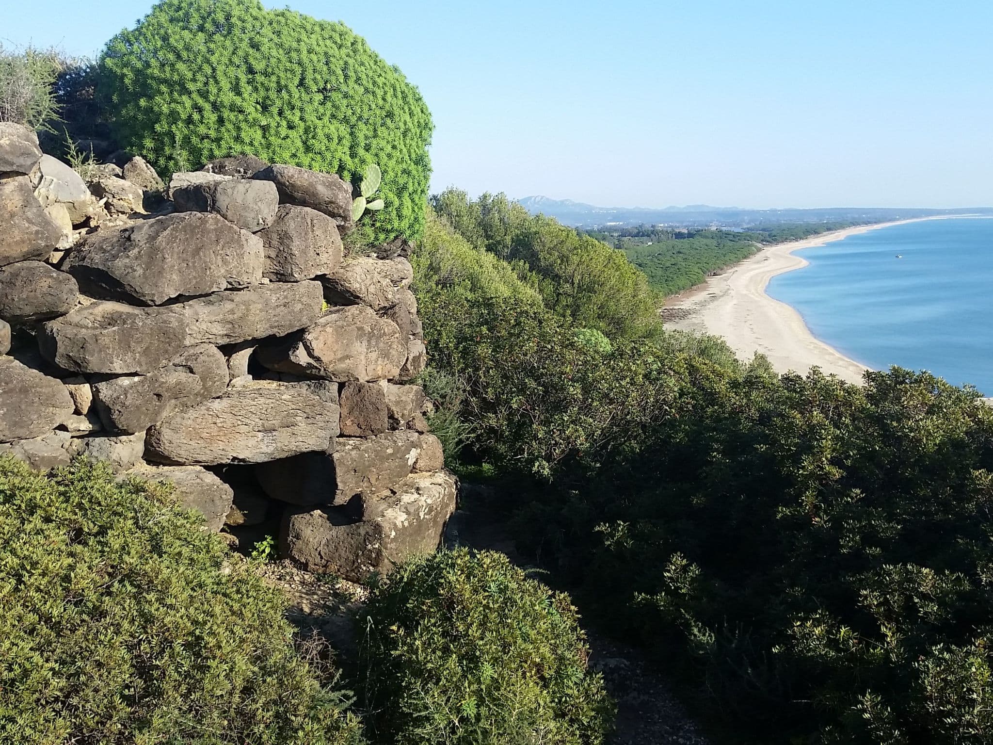 View