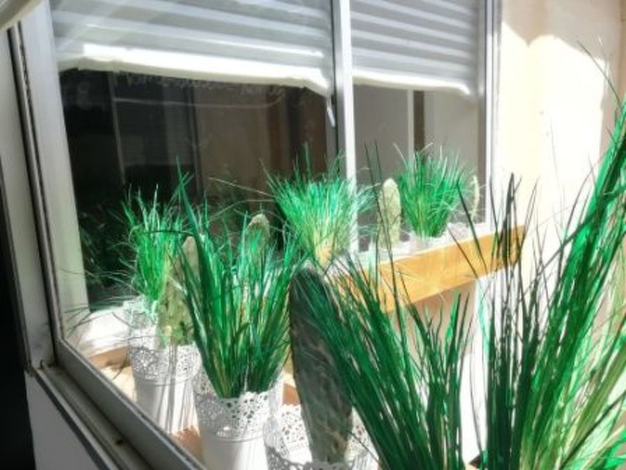 Gallery Image 38