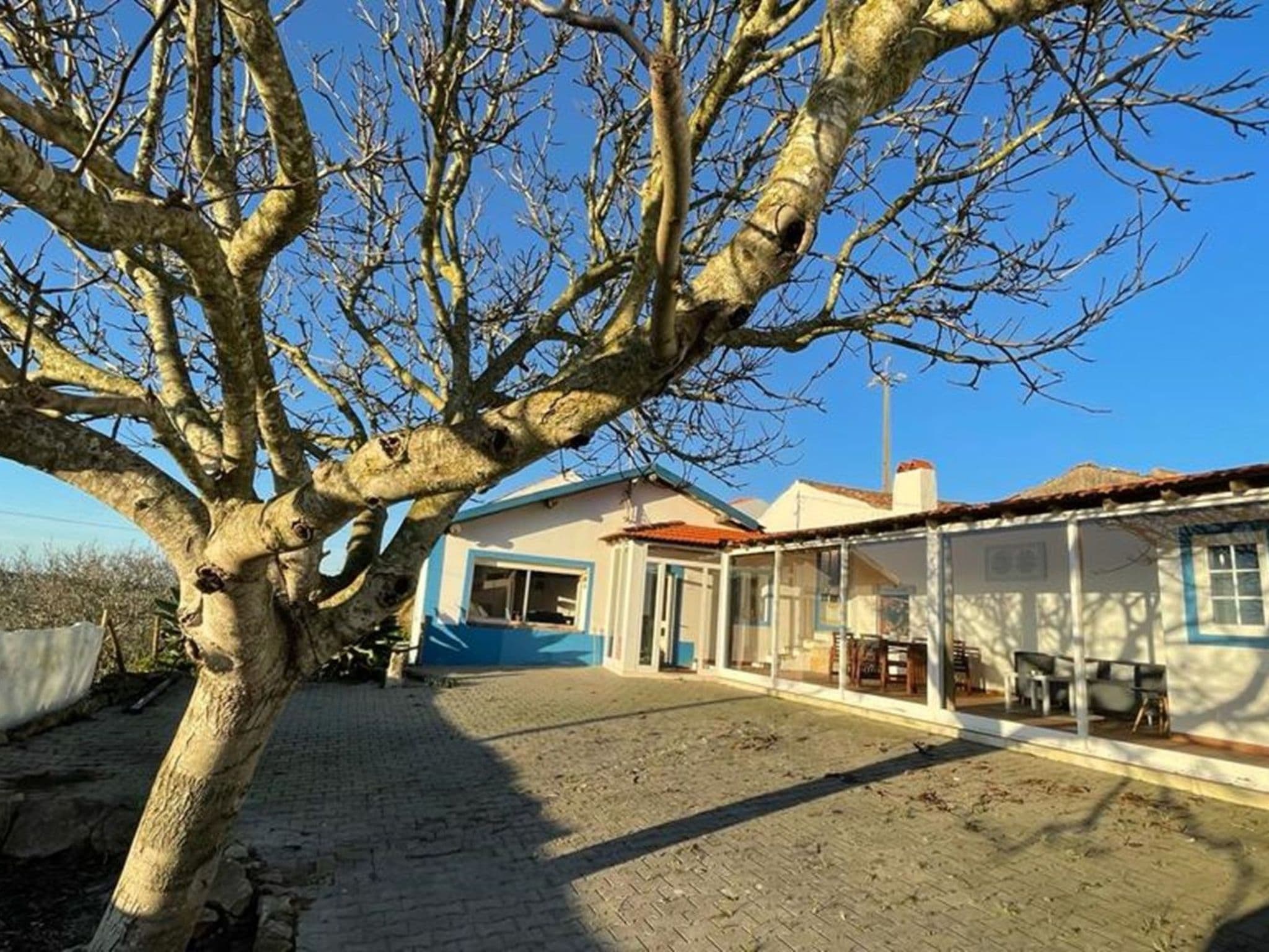 Gallery Image 12