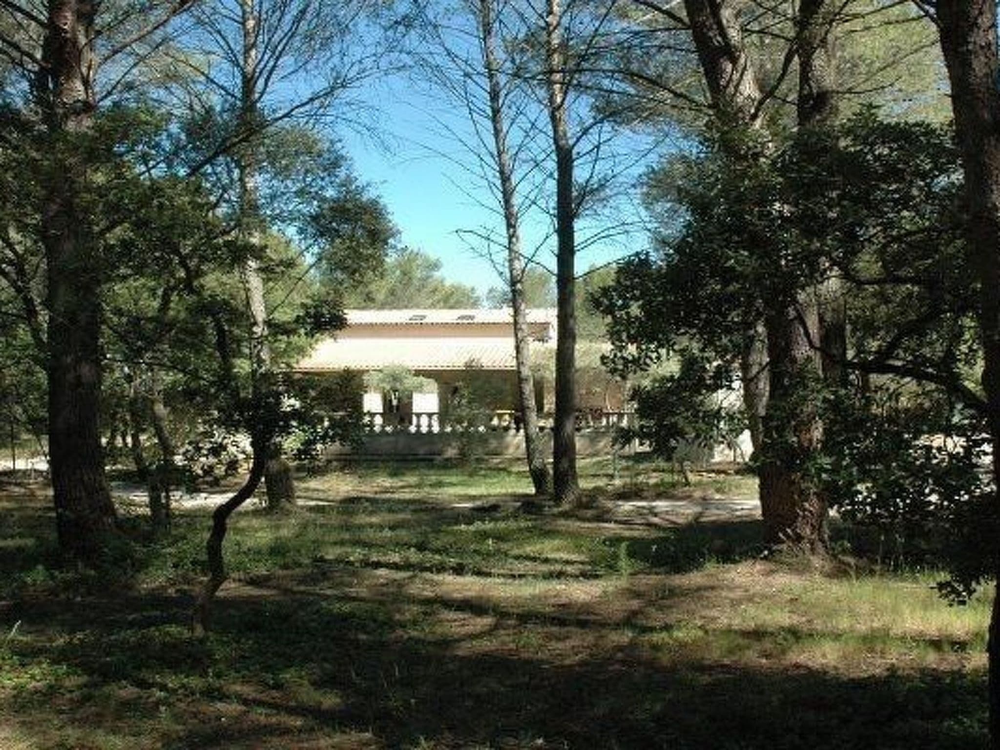 Gallery Image 48