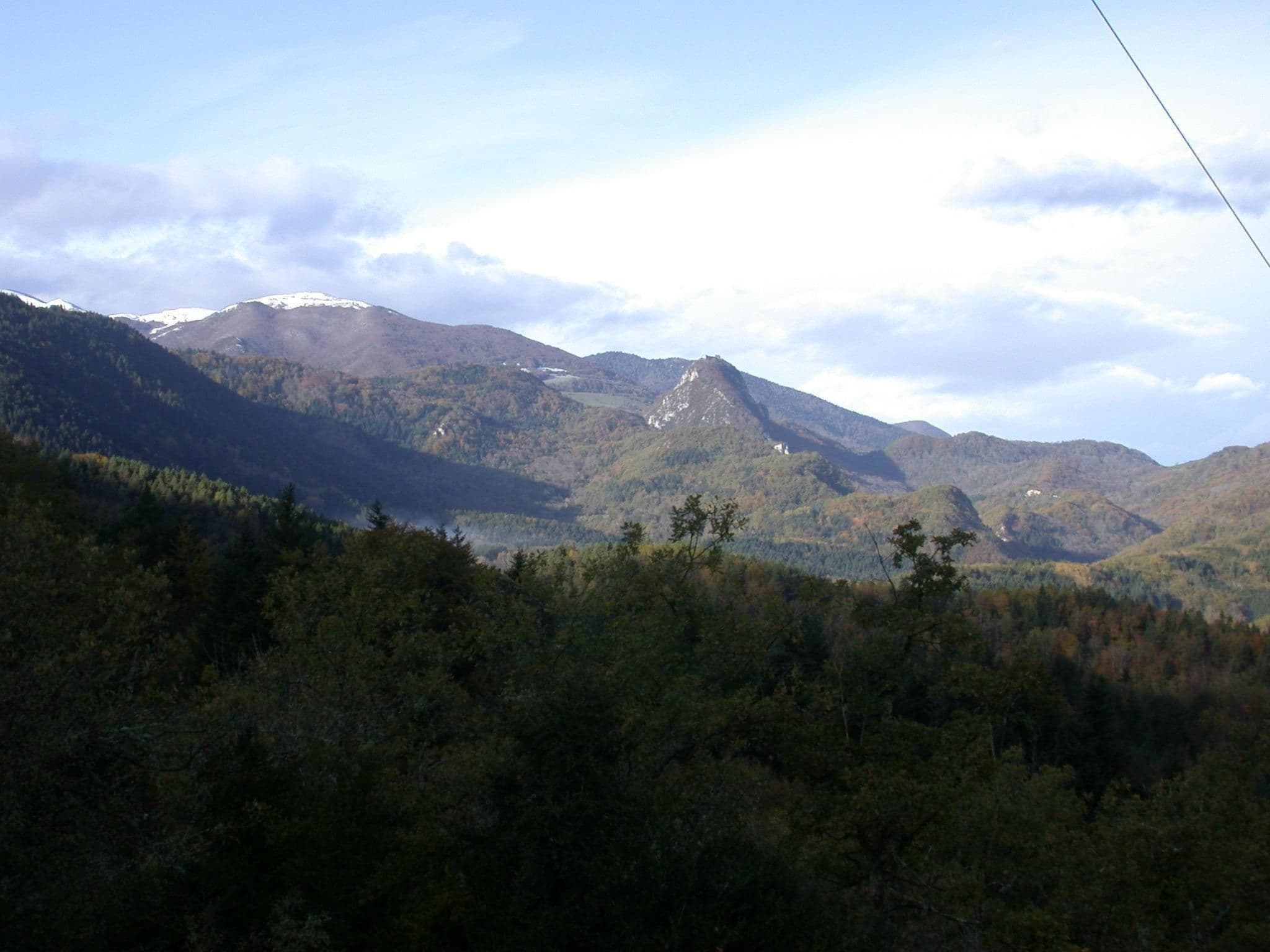 Gallery Image 22