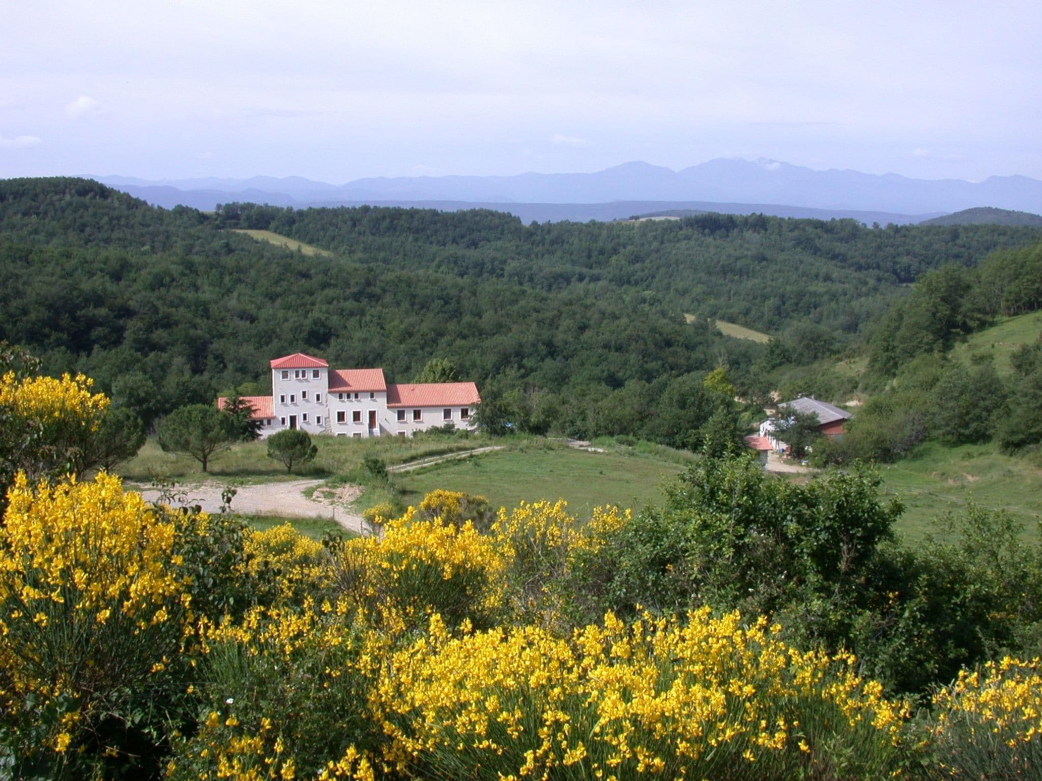 Gallery Image 25