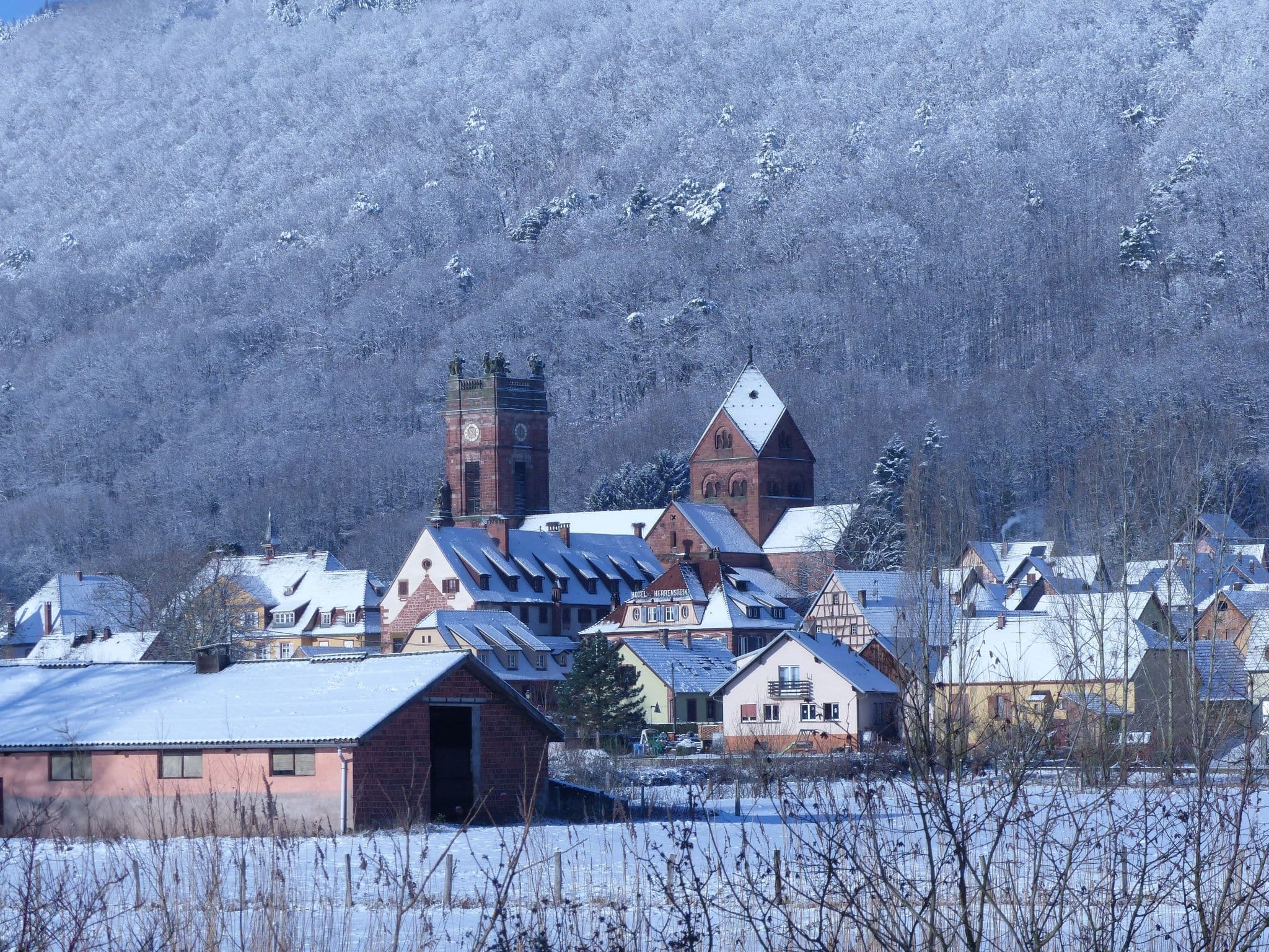 House