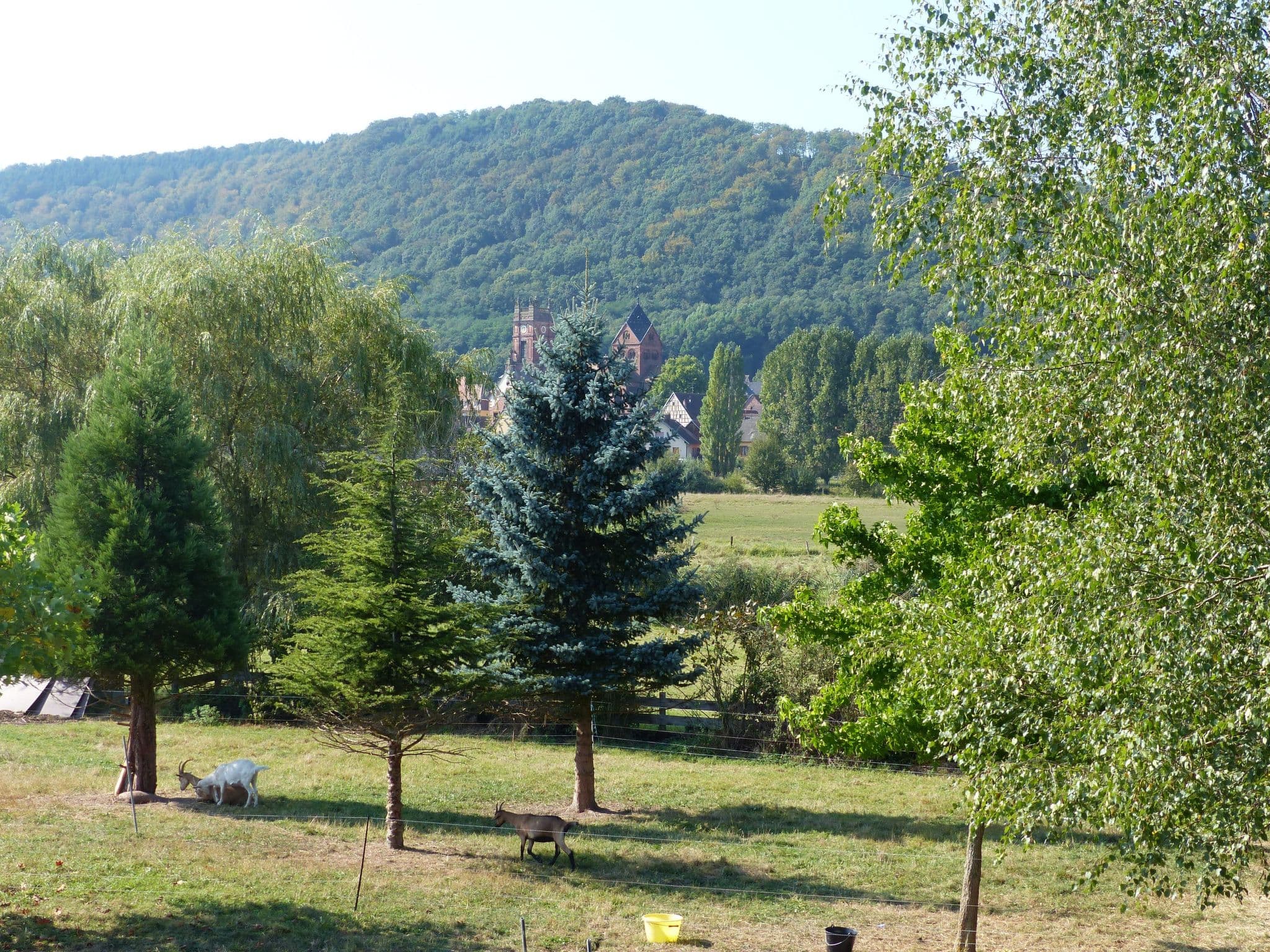 Gallery Image 21