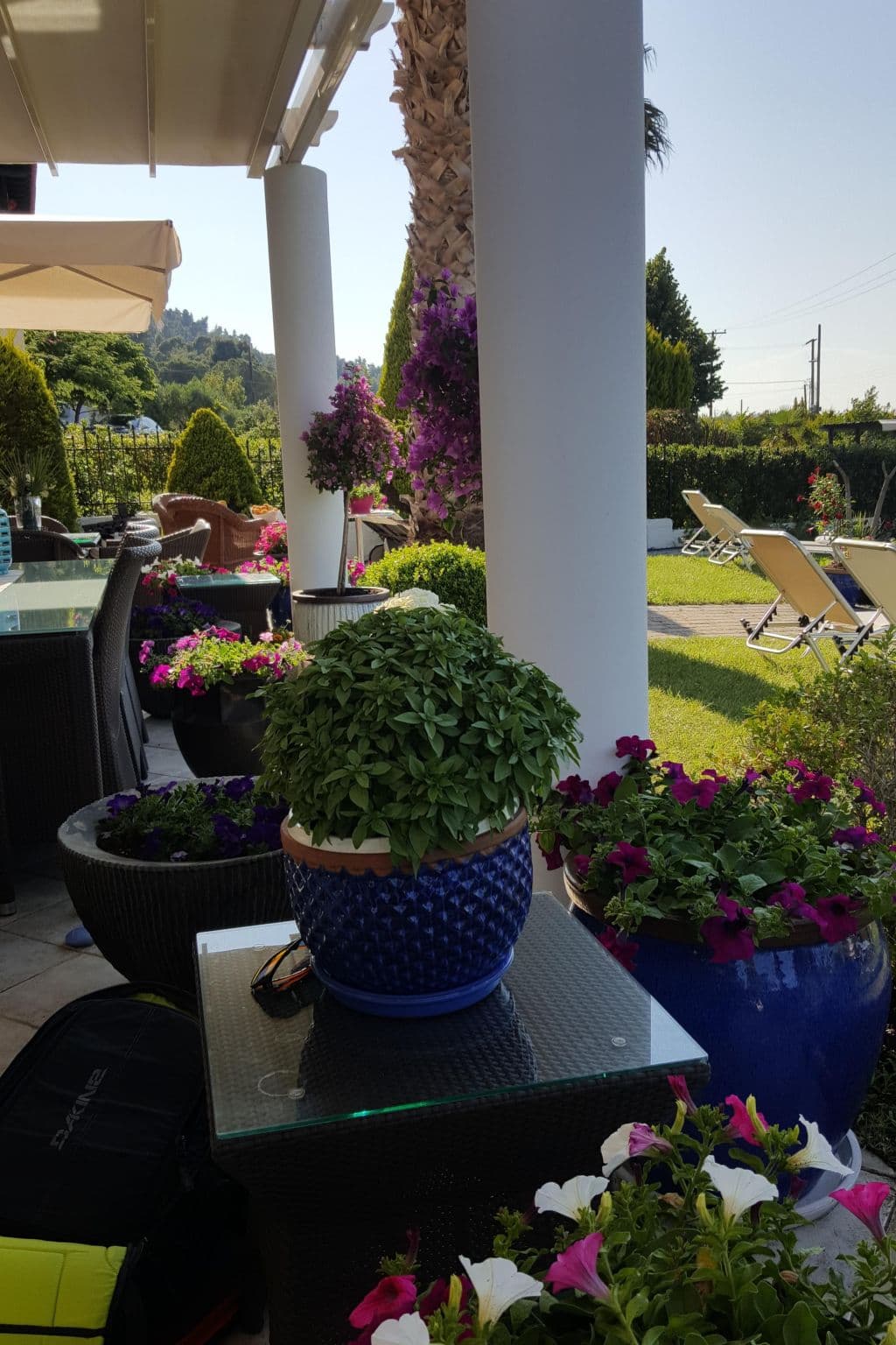 Terrace