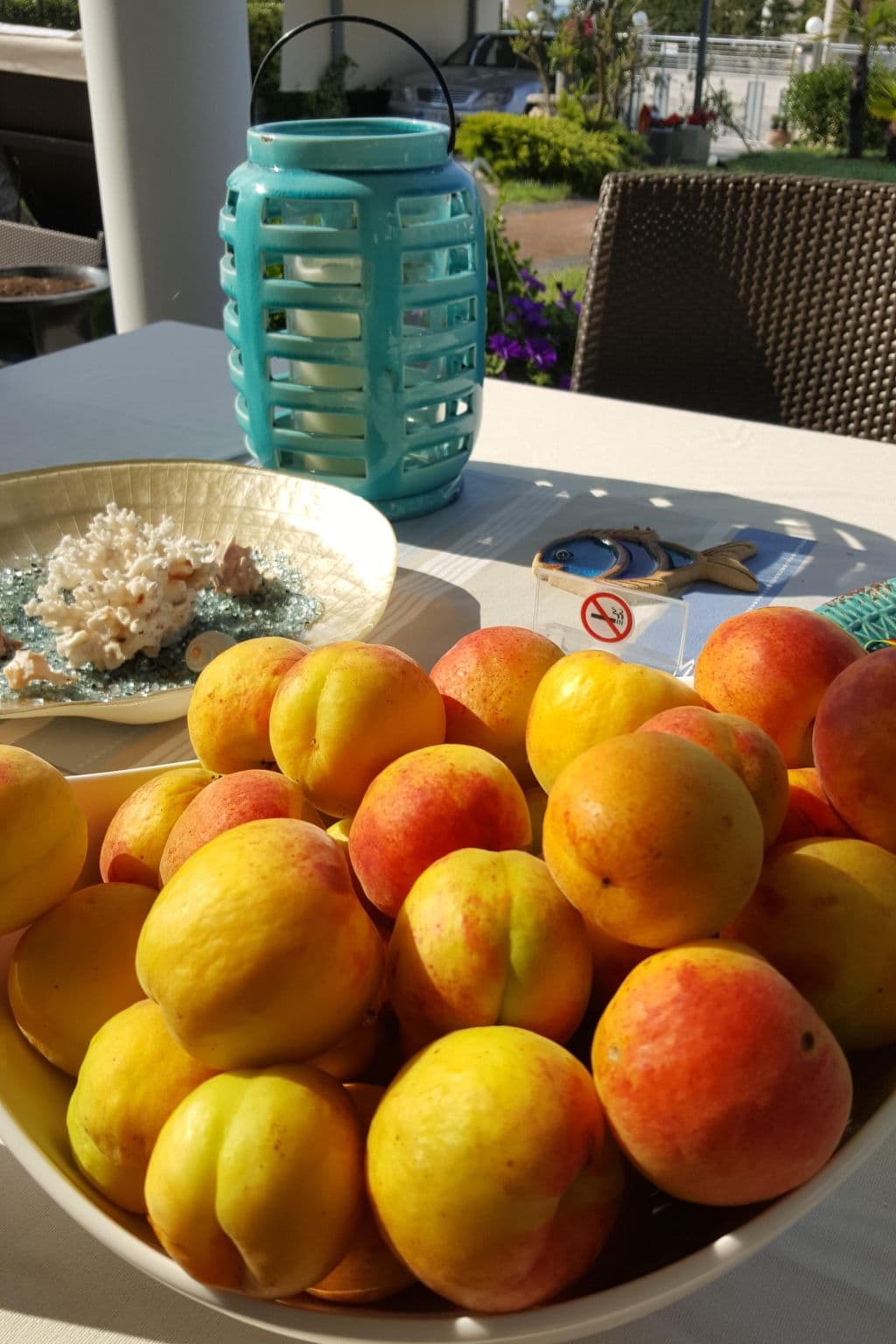 Gallery Image 40