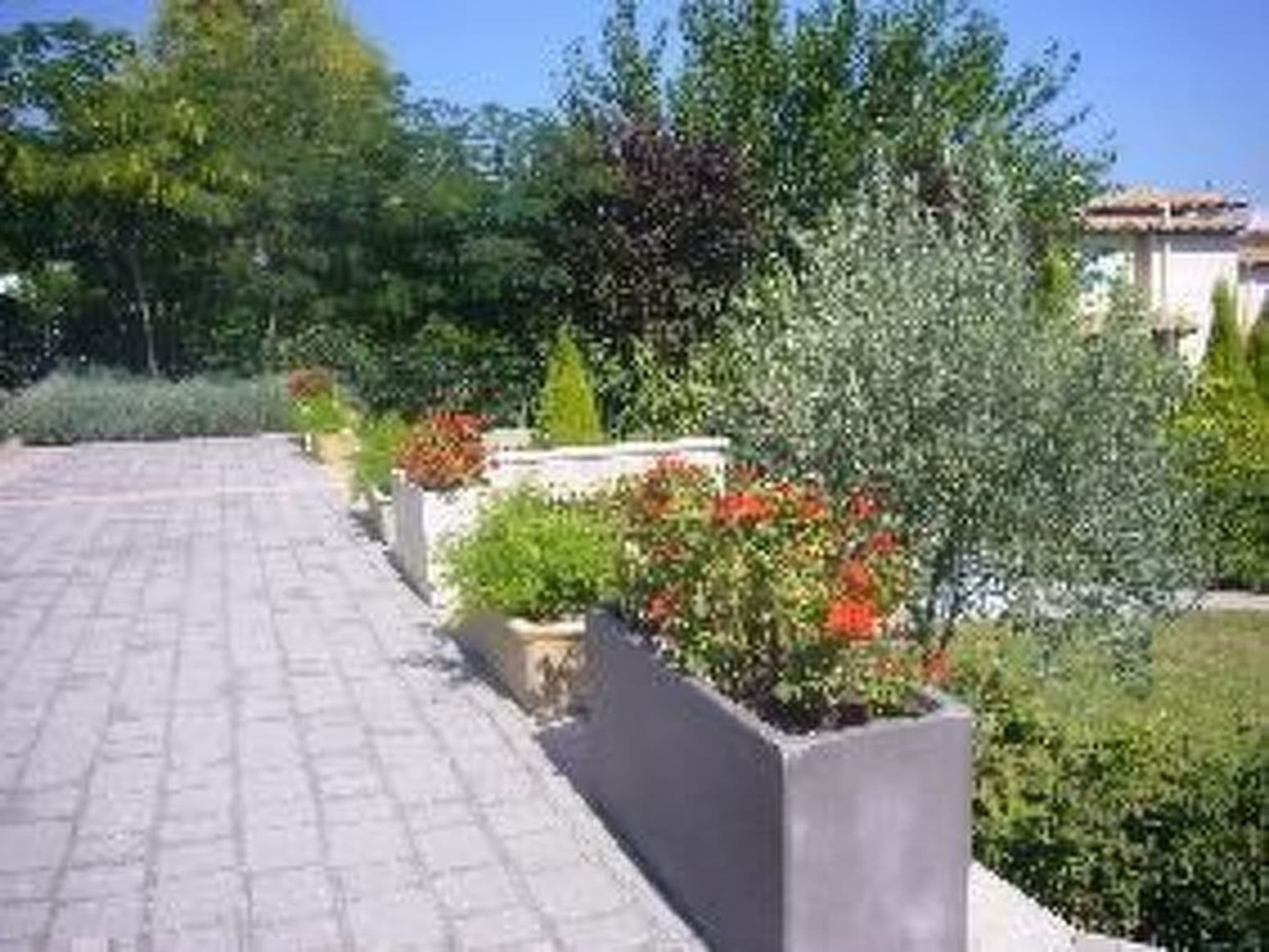 Gallery Image 33
