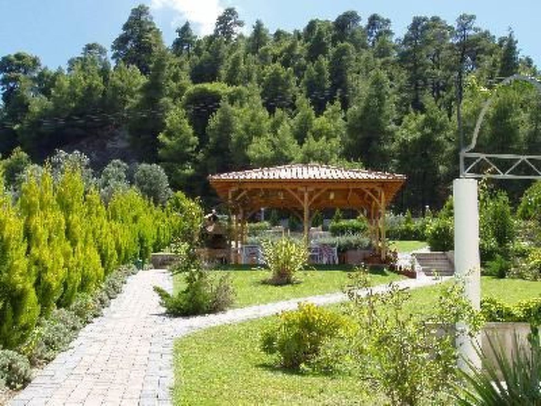 Gallery Image 9