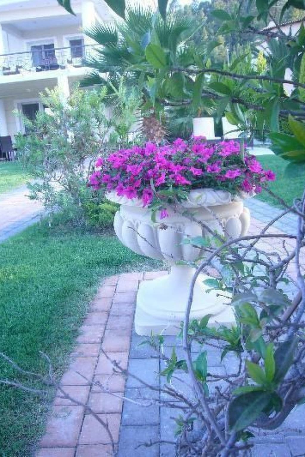 Gallery Image 12