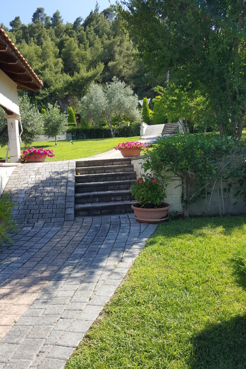 Gallery Image 38
