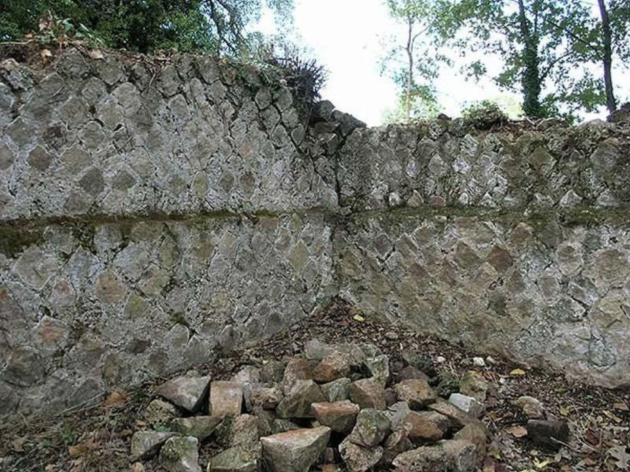Gallery Image 21