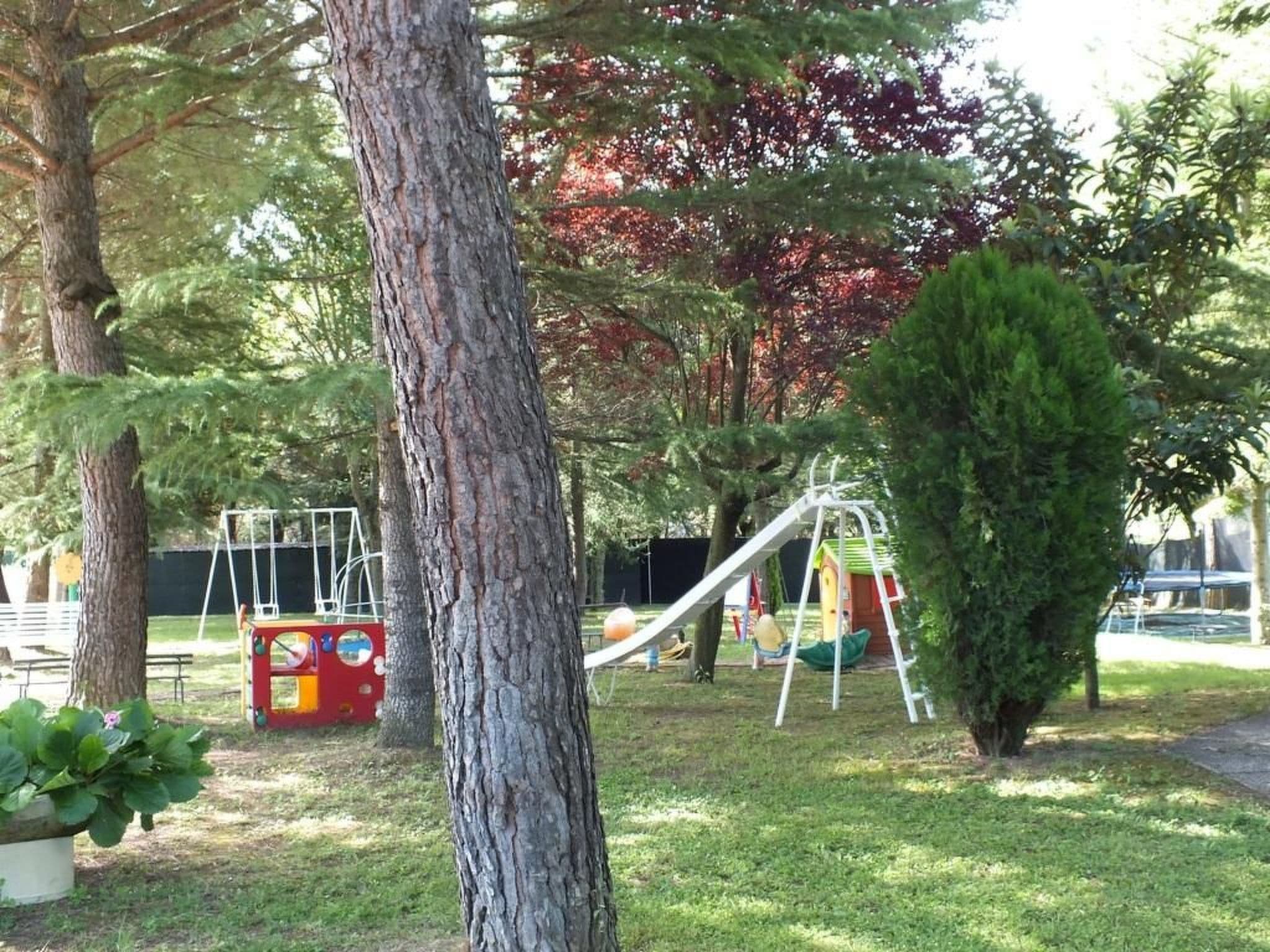 Gallery Image 41