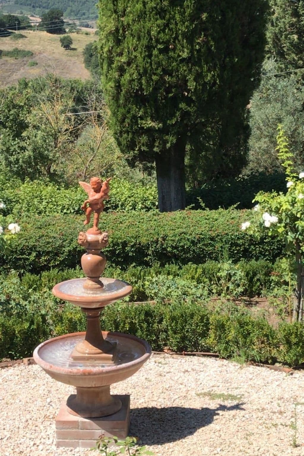 Gallery Image 11