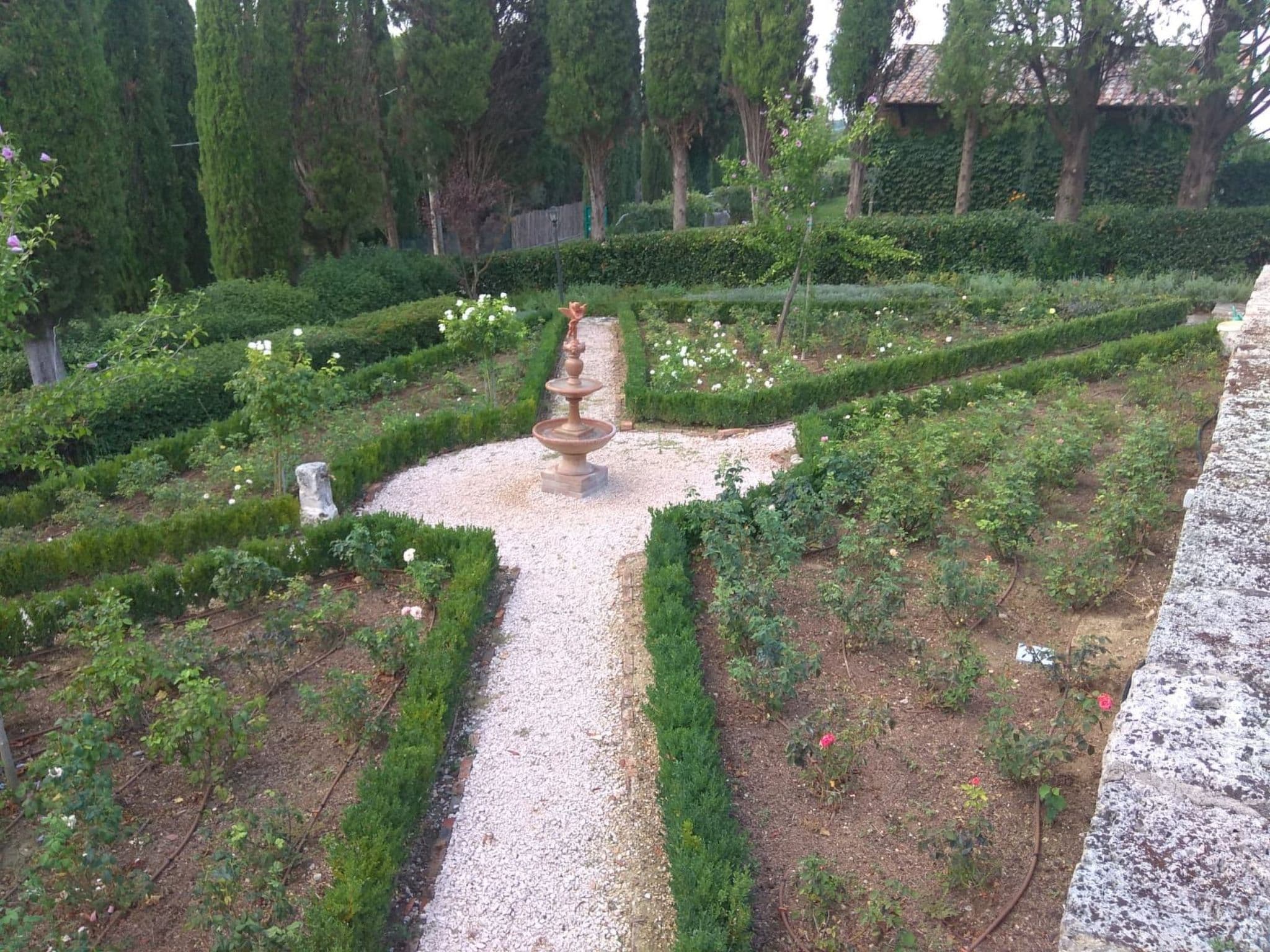 Gallery Image 6
