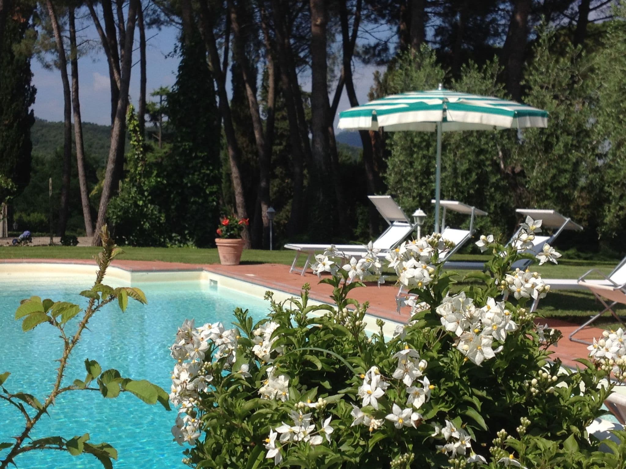 Pool Outdoor